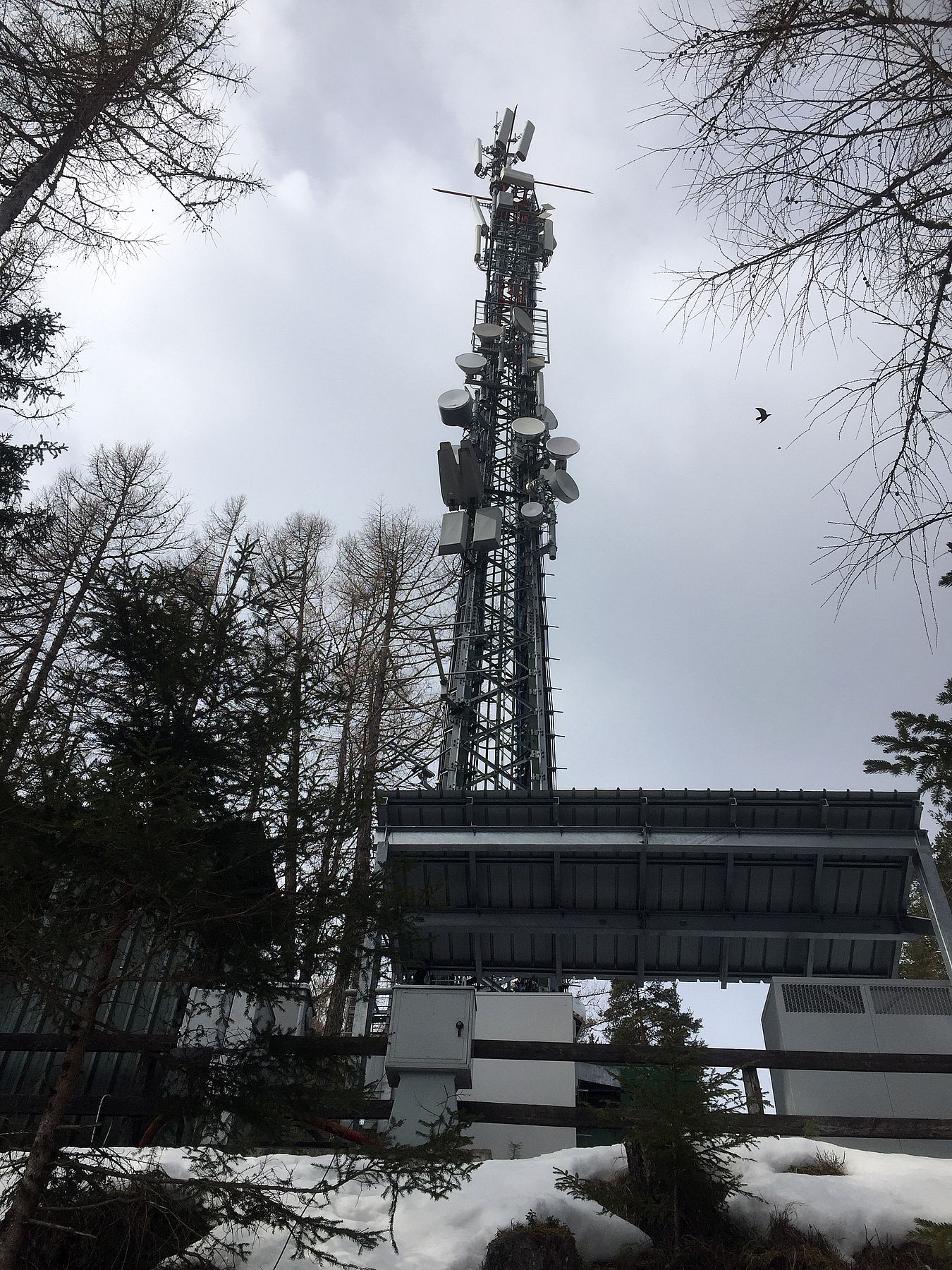 Die Anlage im April 2018