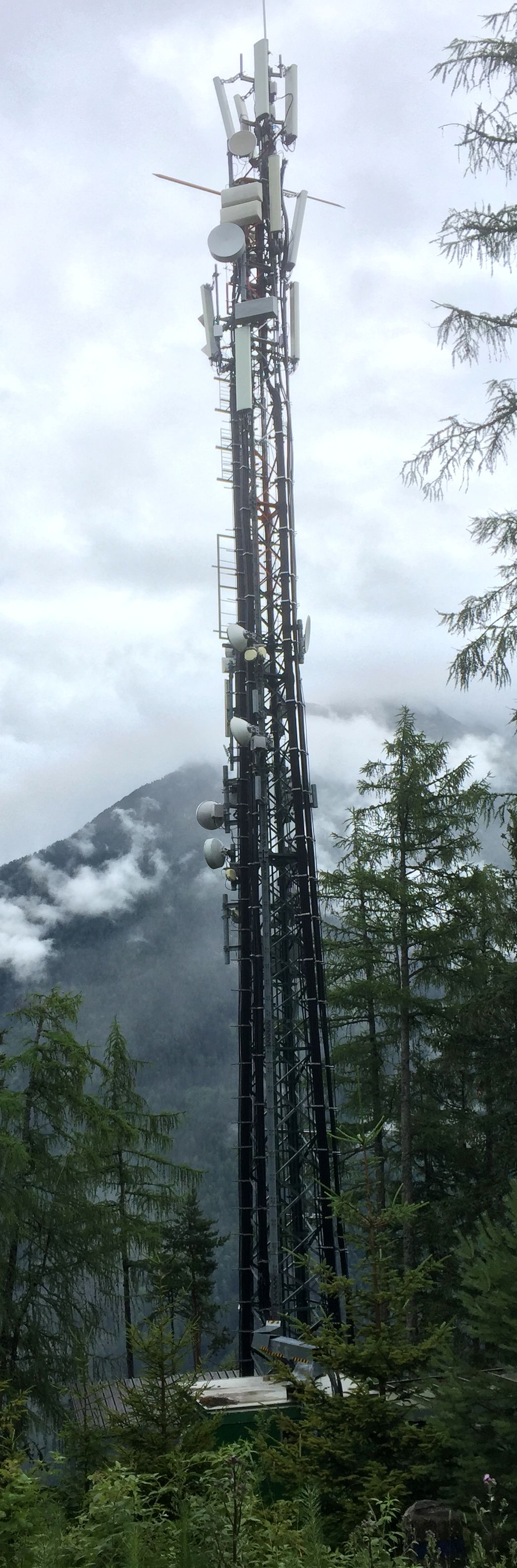 Die Anlage im Juli 2021