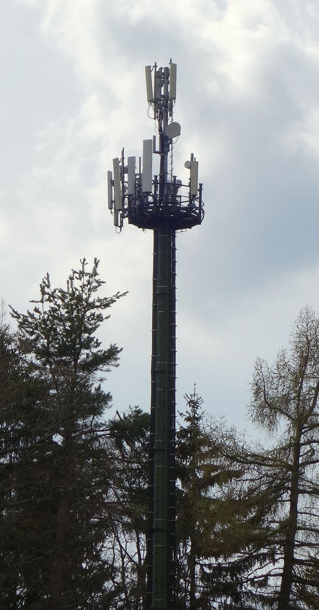 Die Anlage im April 2018
