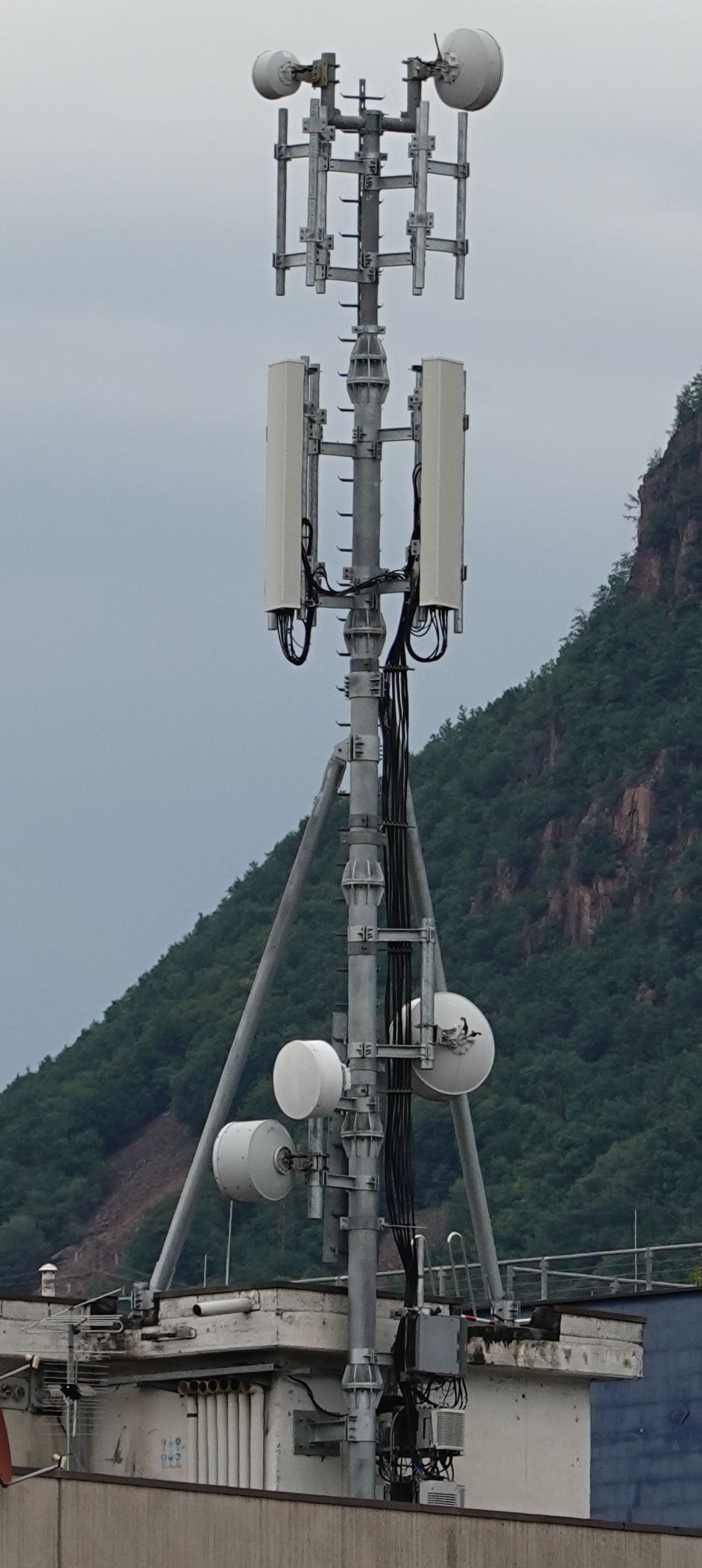 Die umgebaute Anlage im Juni 2020
