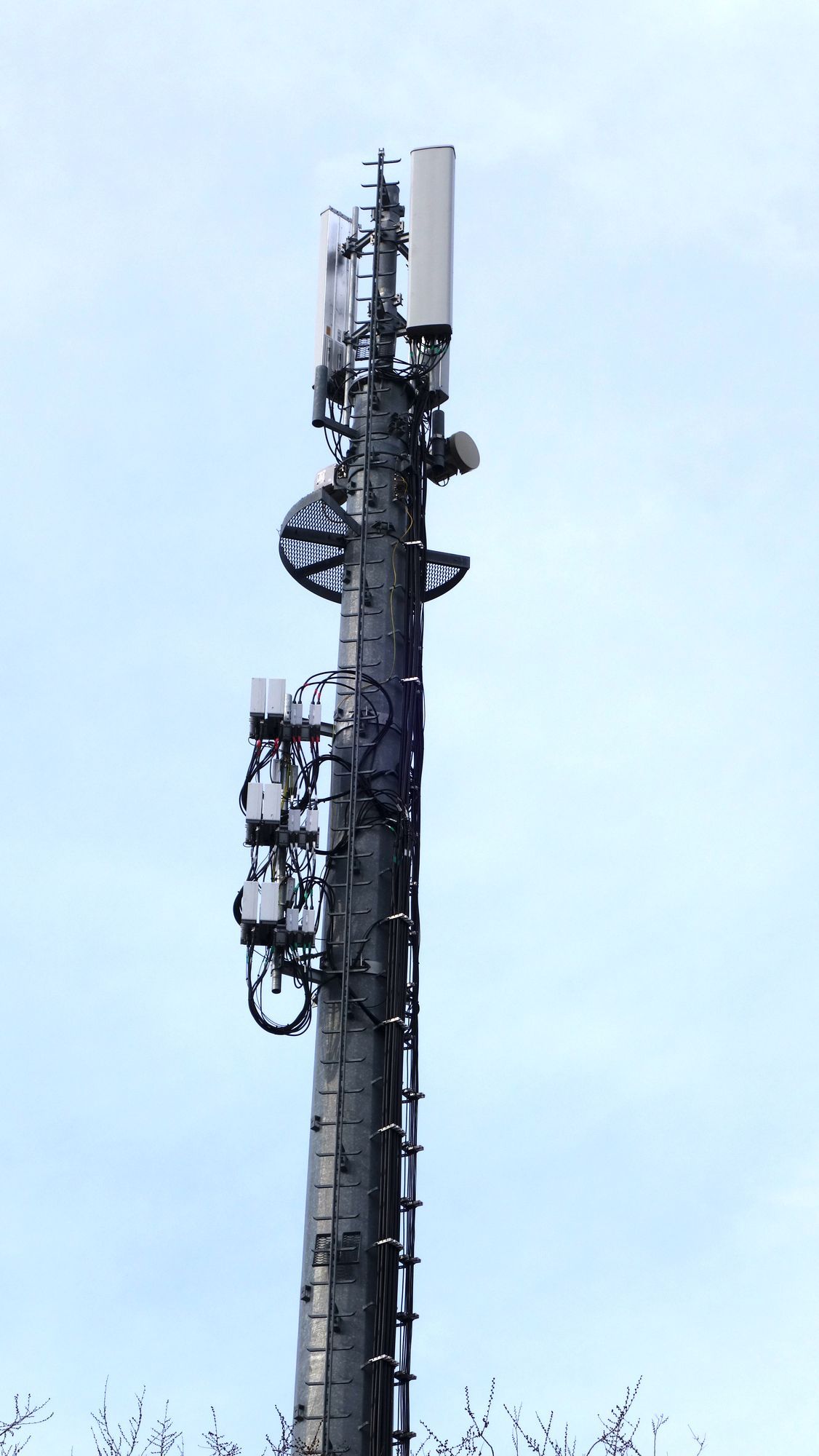 Die Antennen im Februar 2020