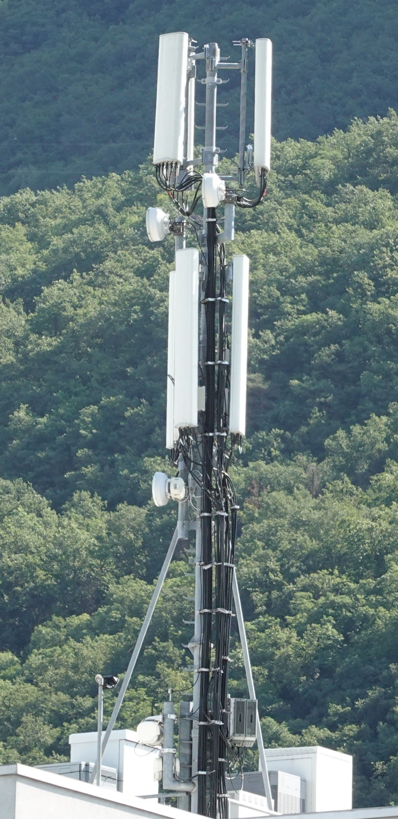 Die Antennen im August 2021