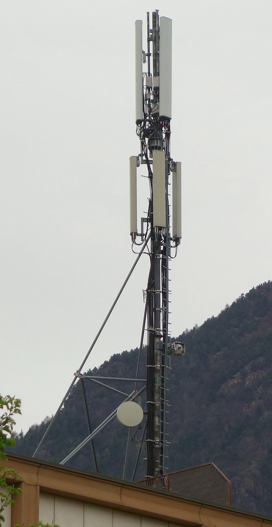 Die Antennen von Tim und Tre im April 2018