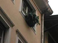 TIM-Anlage 2: Mikrozelle im Blumenkasten versteckt.