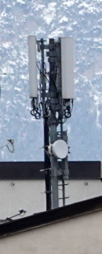 Die Antennen von Tim im Jänner 2021