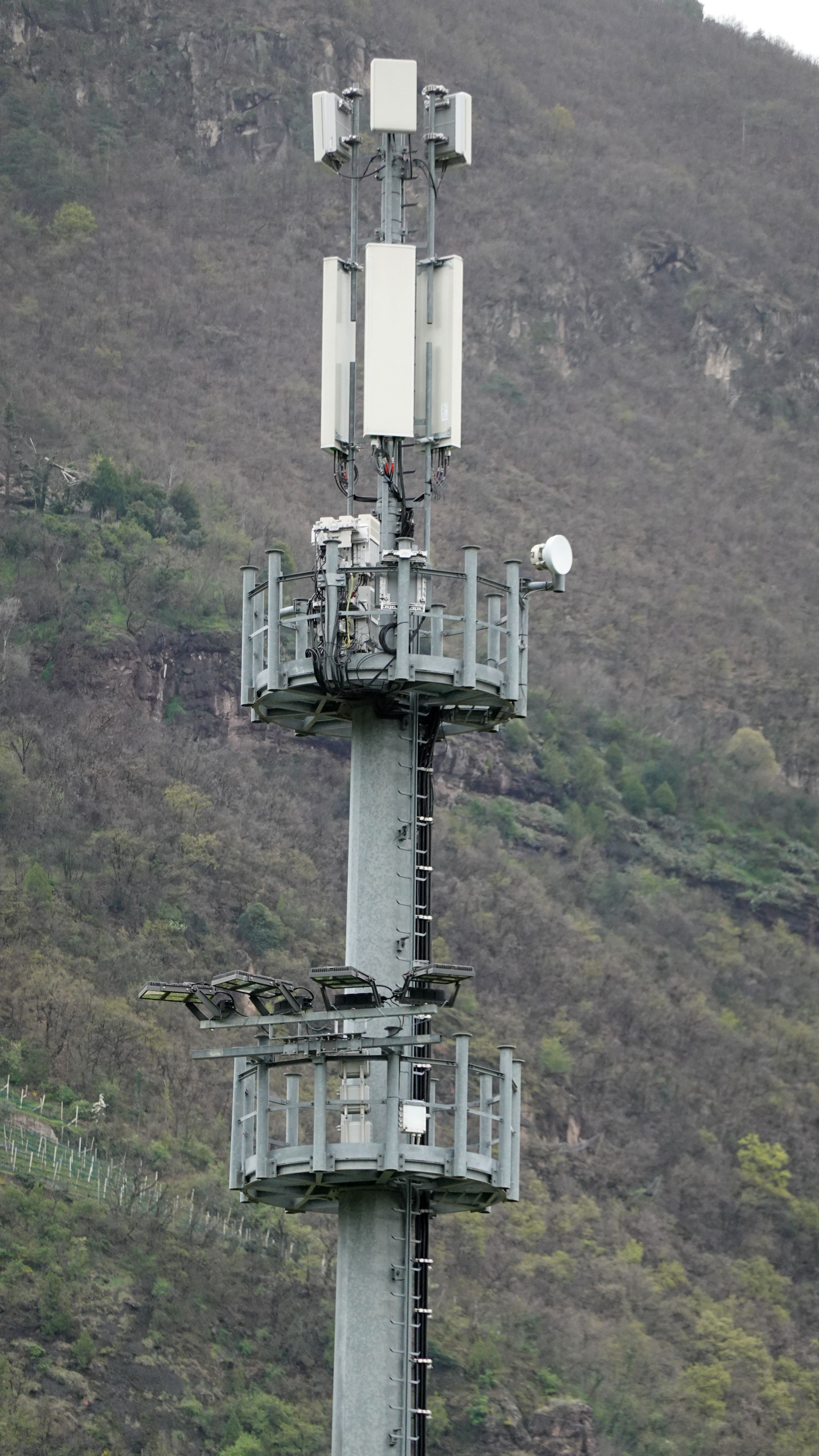 Die Antennen im April 2024
