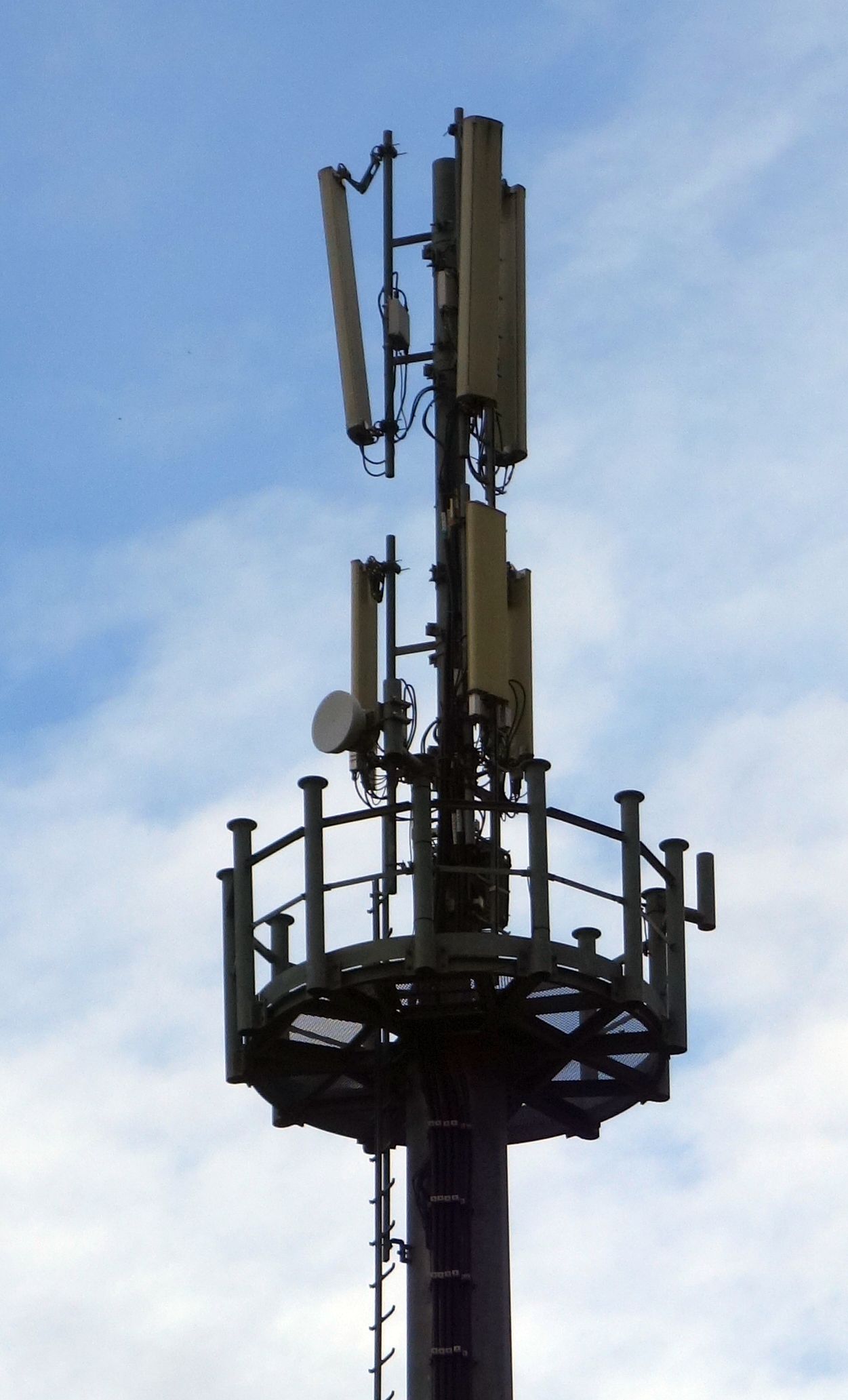 Die Antennen von Tim im November 2019