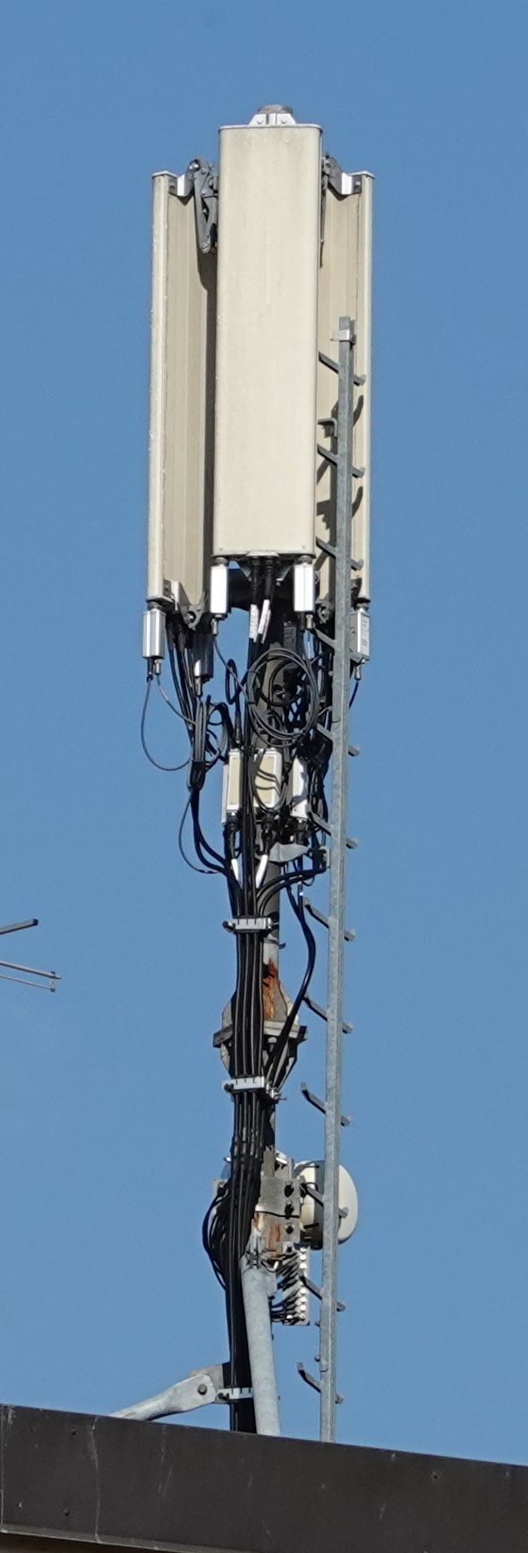 Die Antennen im März 2020
