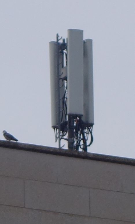 Die Antennen von Vodafone im März 2020