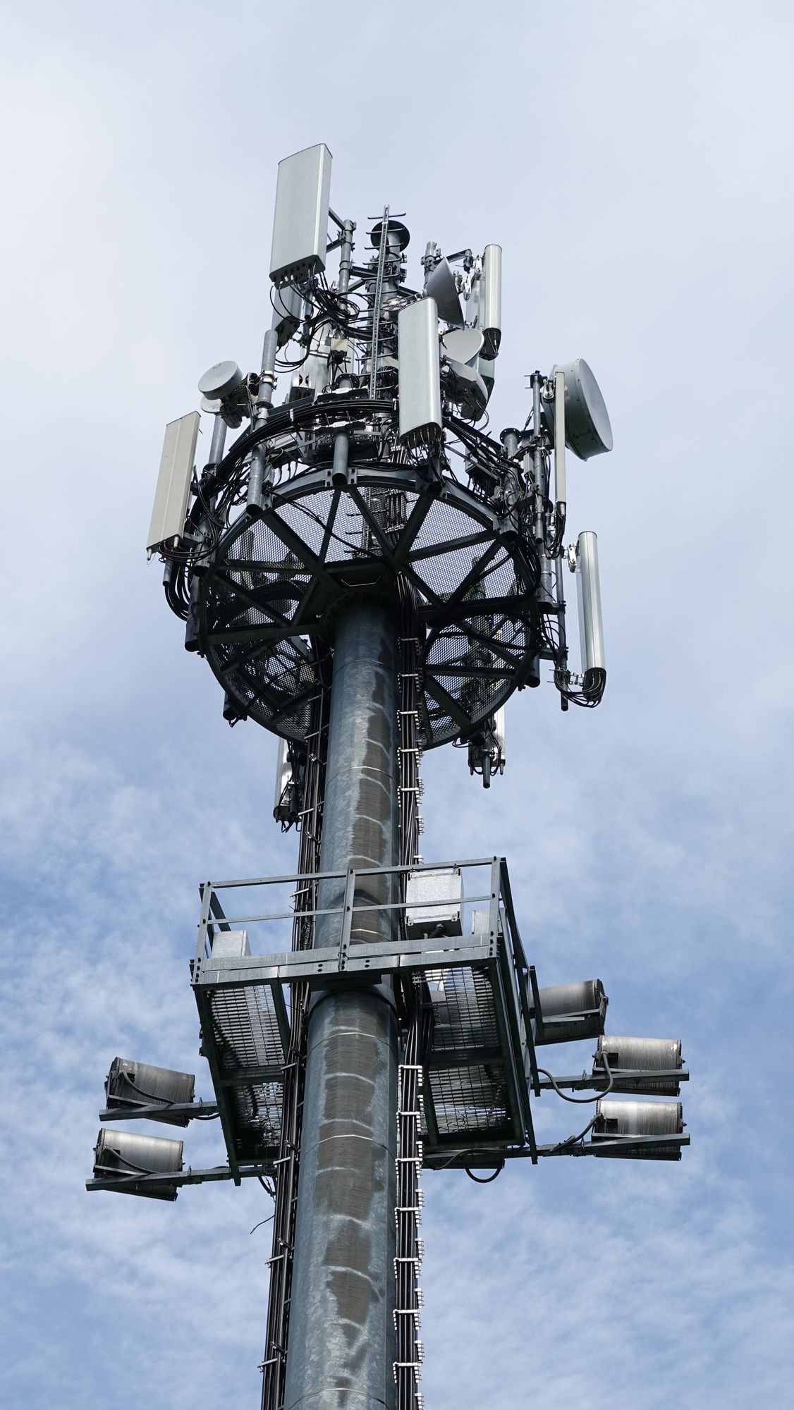 Die Antennen im Juni 2020