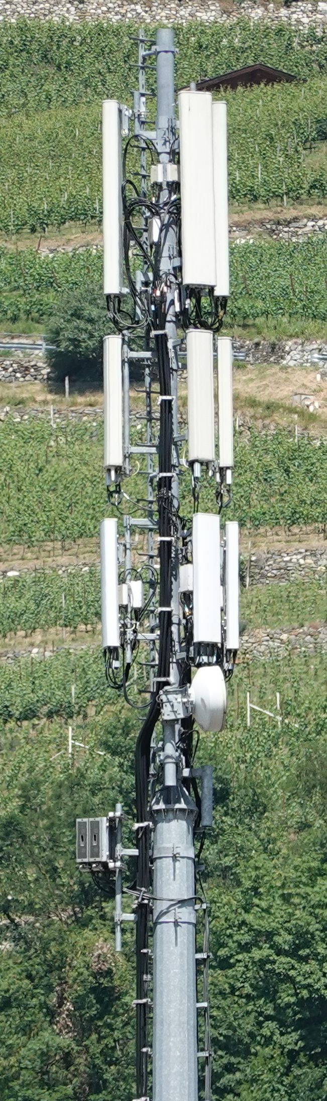 Die Antennen von Tim und Vodafone im Juni 2021