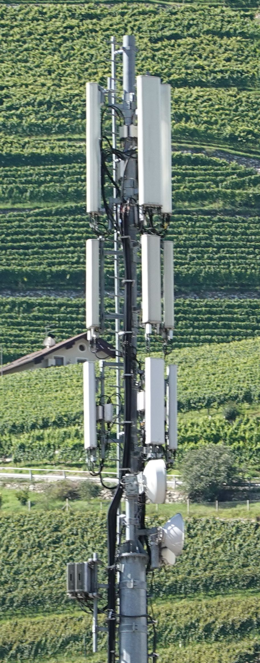 Die Antennen im August 2020