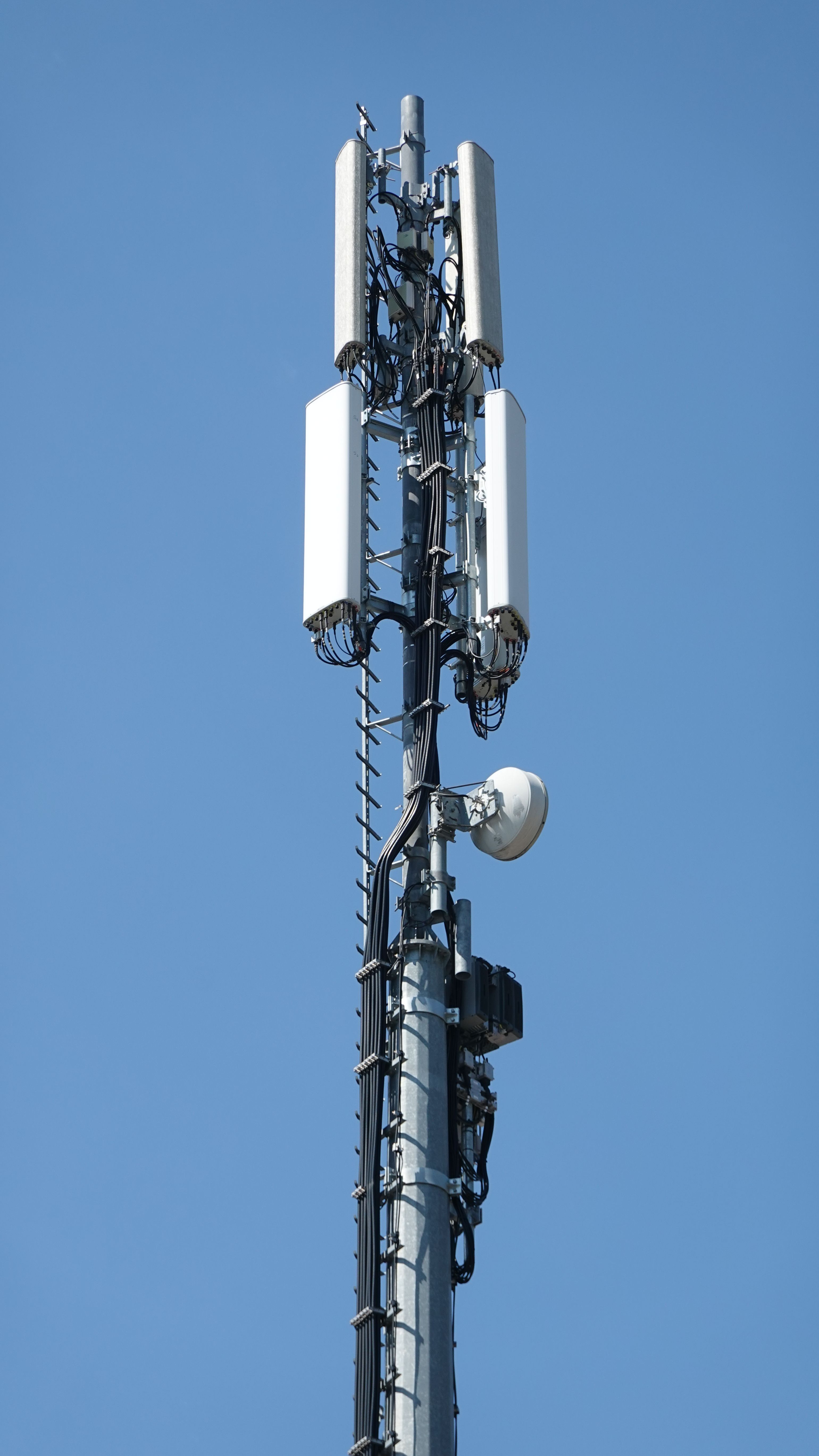 Die Antennen im August 2025