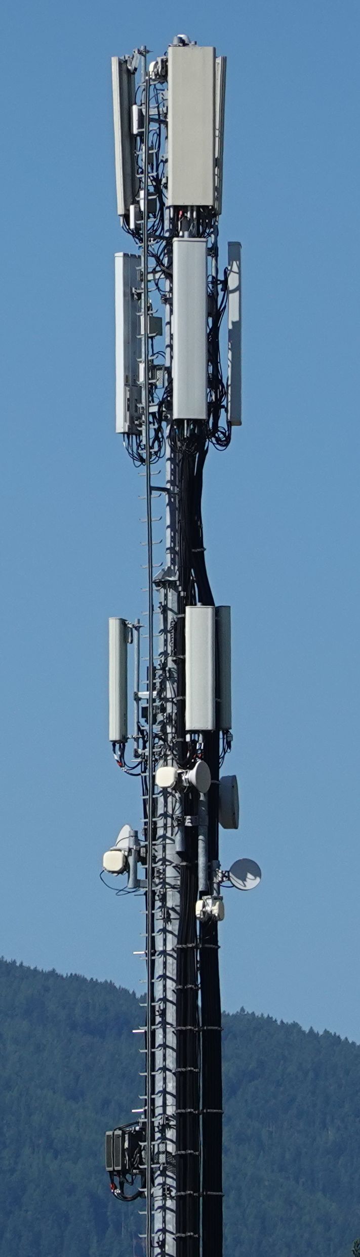 Die Antennen im August 2021