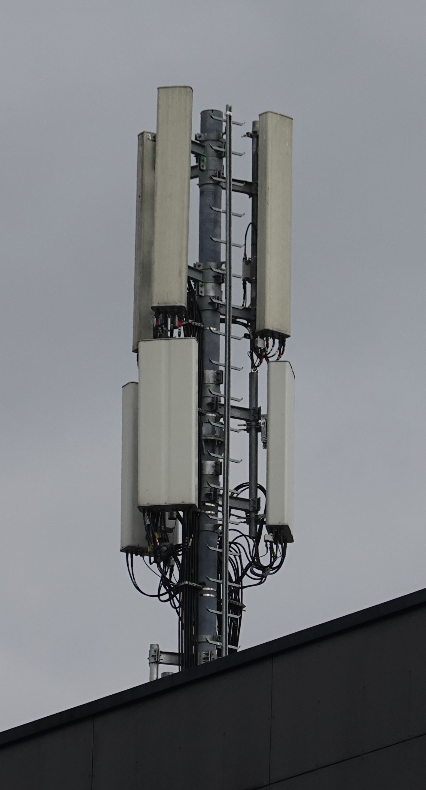 Die Antennen im März 2025