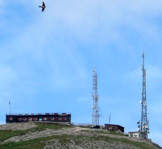 Die Anlagen von RAI mit Tim und TCA mit Wind 2008