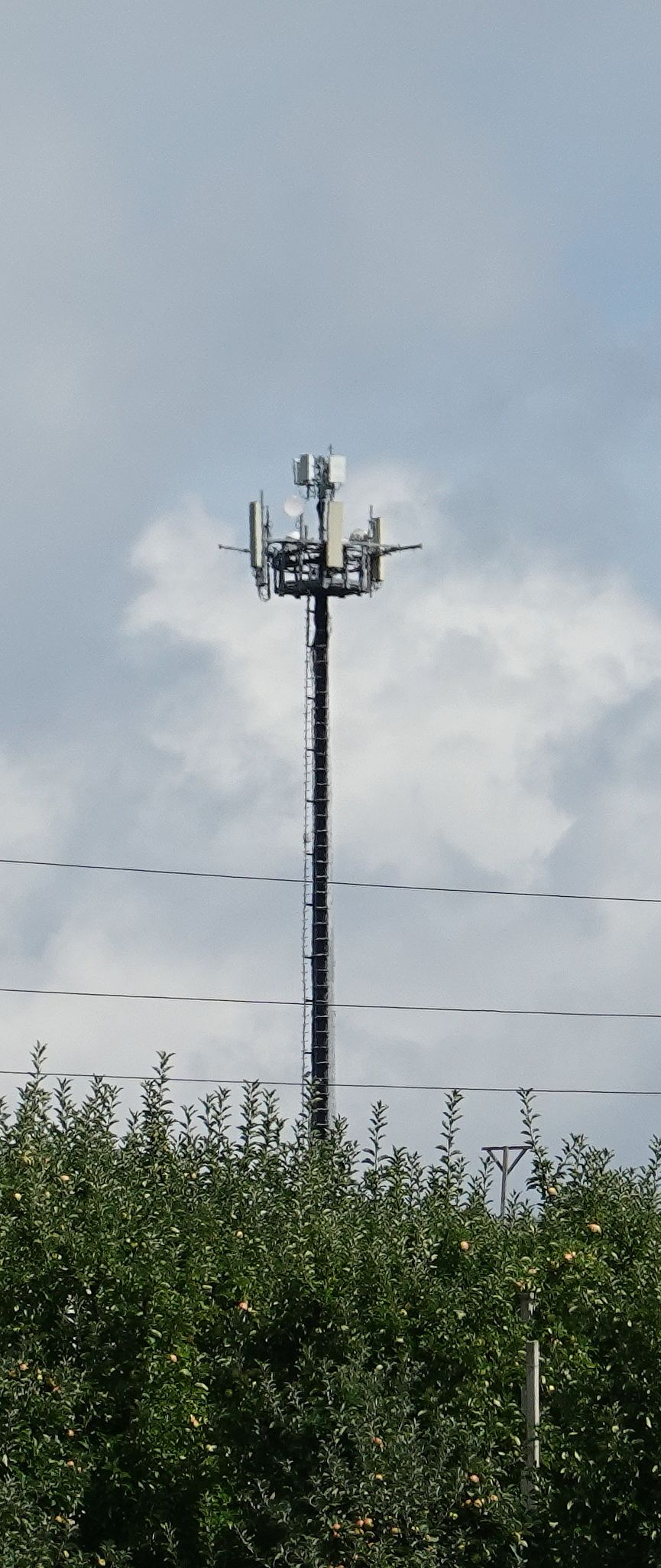 Die Anlage im August 2025