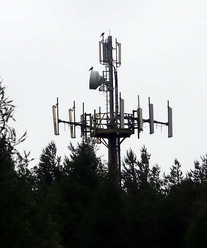 Die Anlage mit Tim und Vodafone