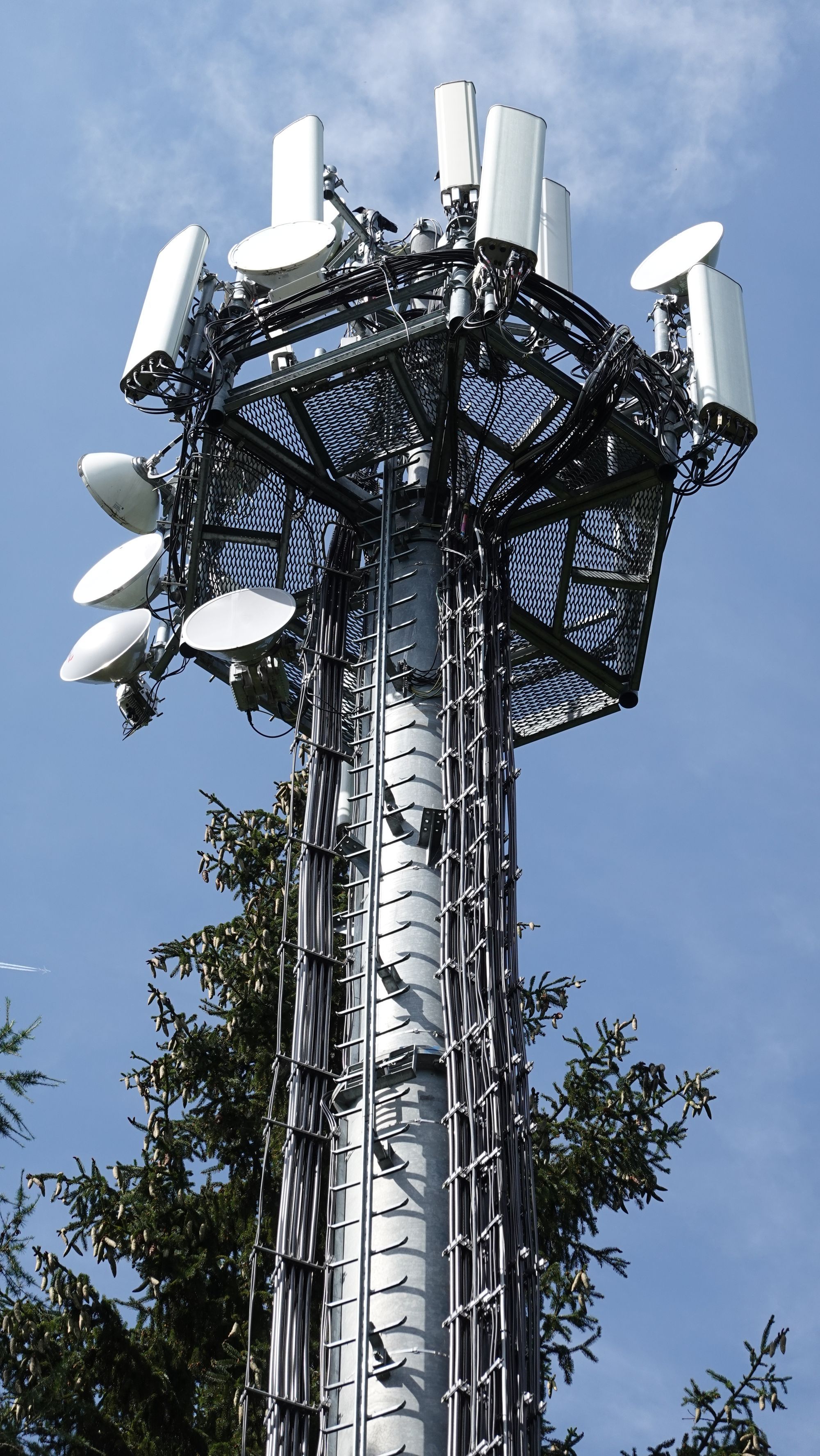 Die Antennen im August 2020.