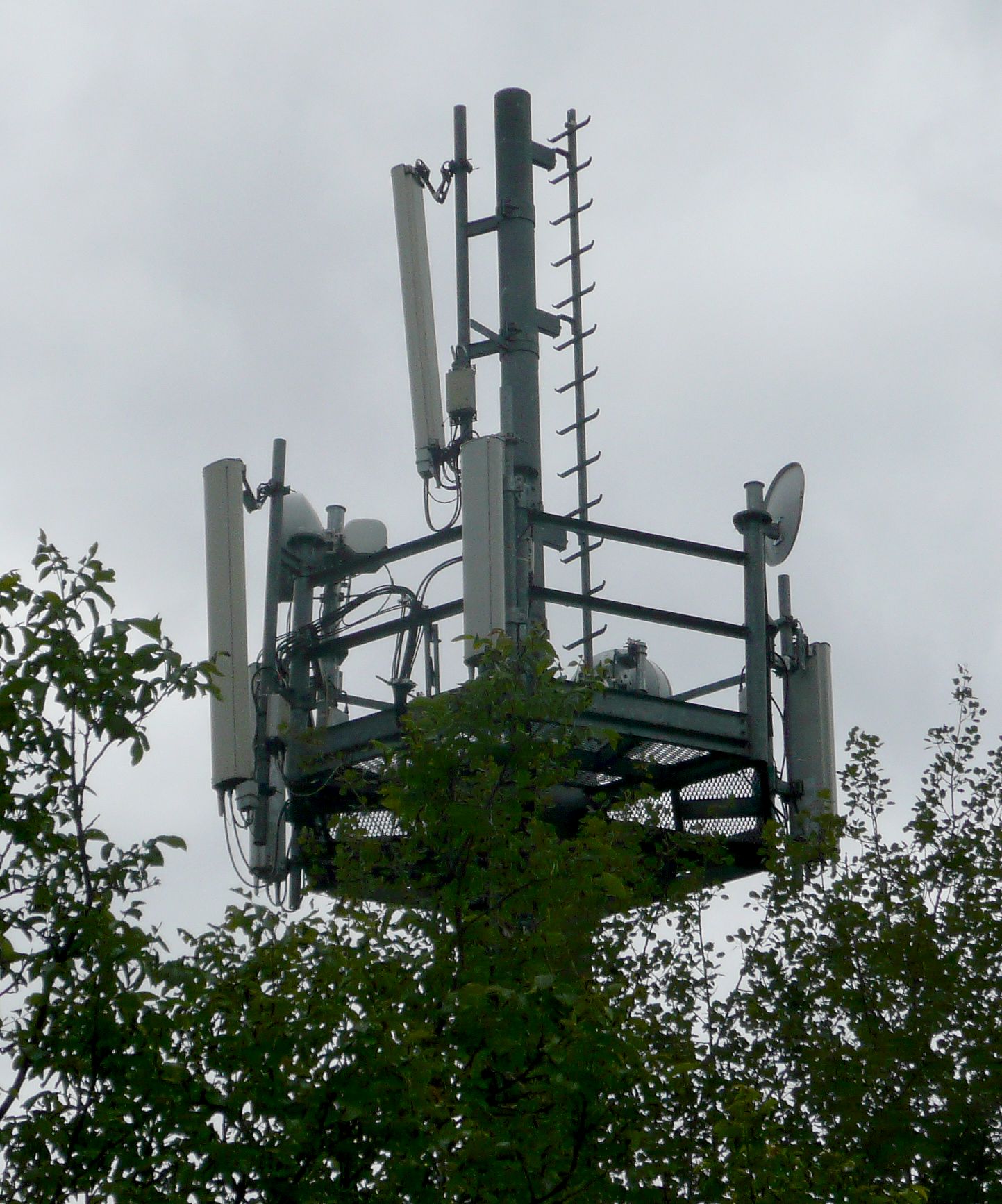 Die Antennen von Tim und Vodafone