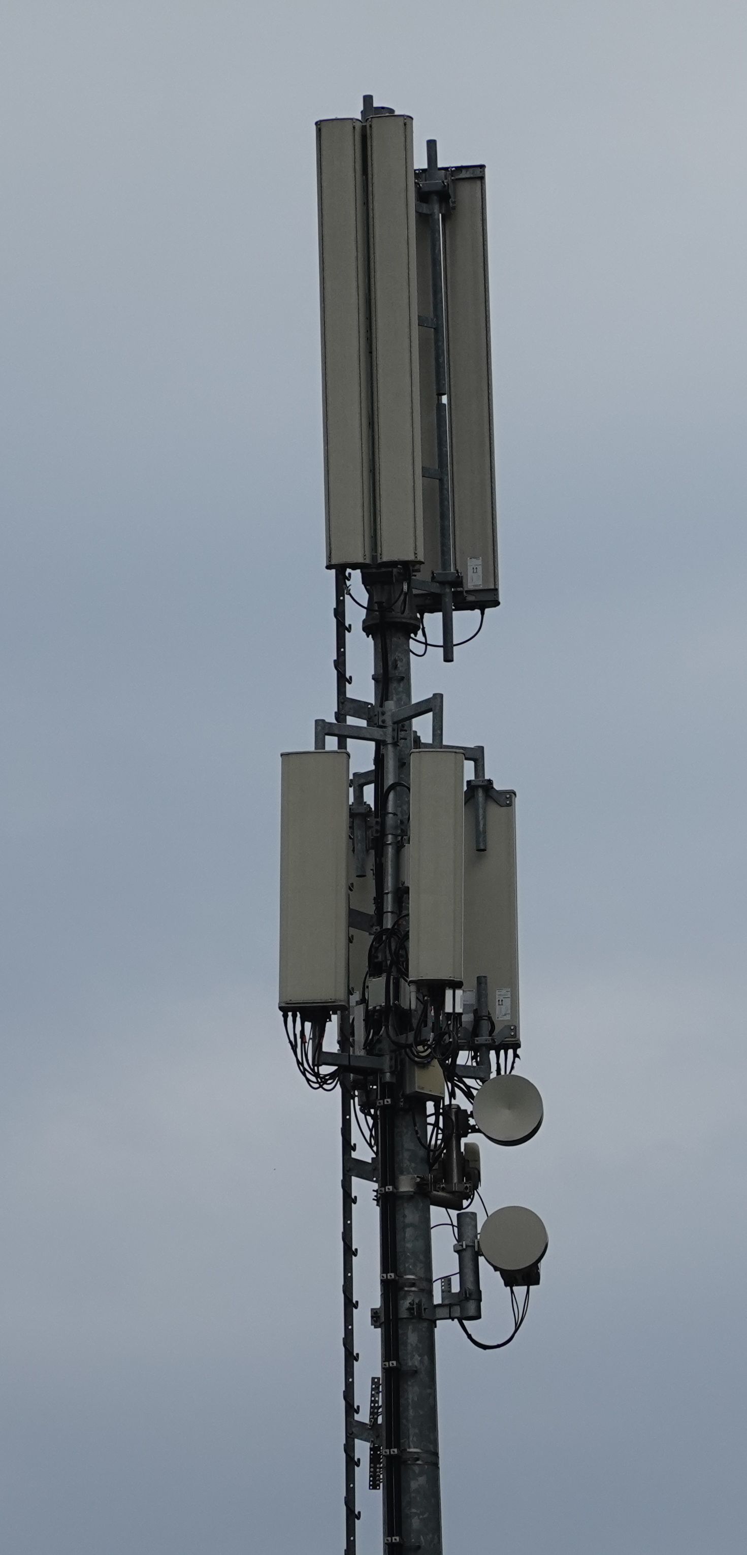 Die Antennen im August 2021