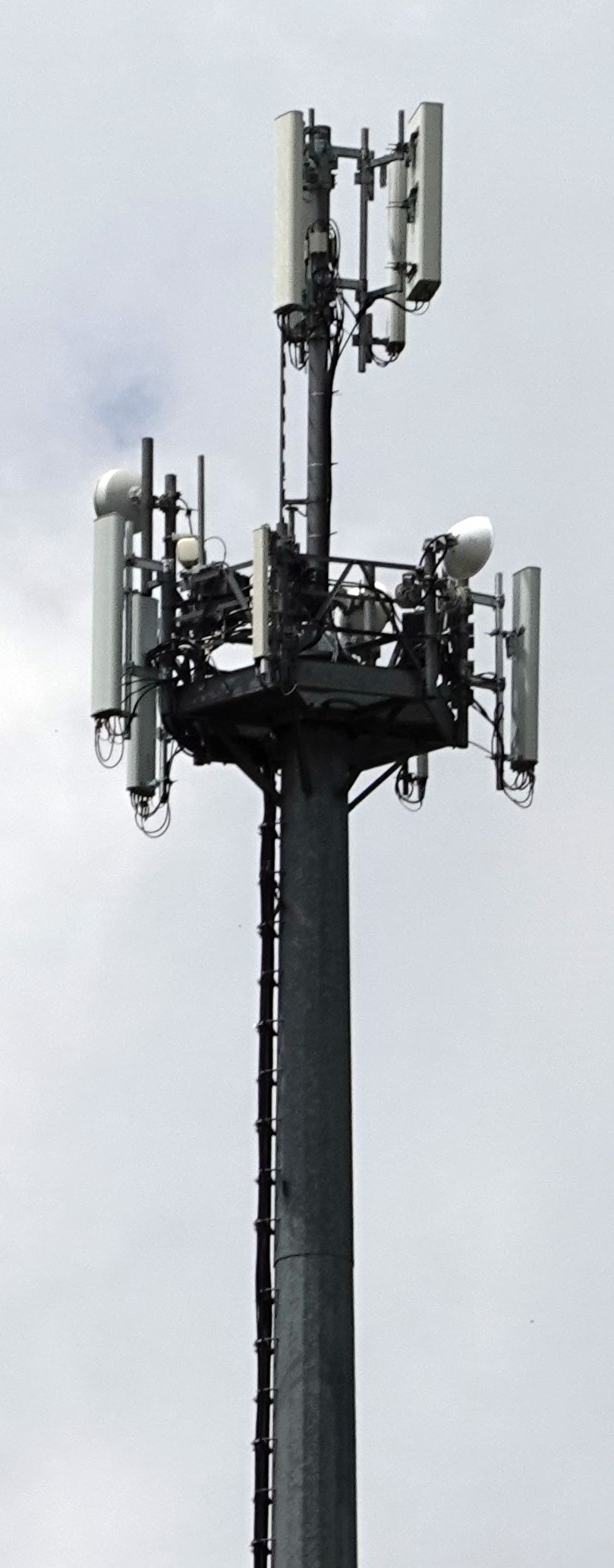 Die Antennen im Juni 2021