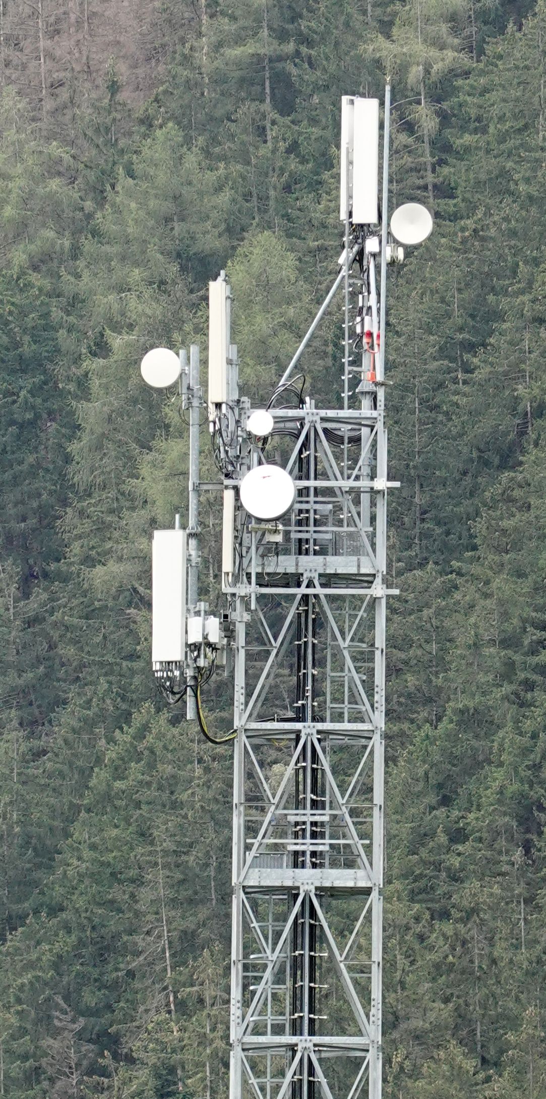 Die Anlage im August 2020