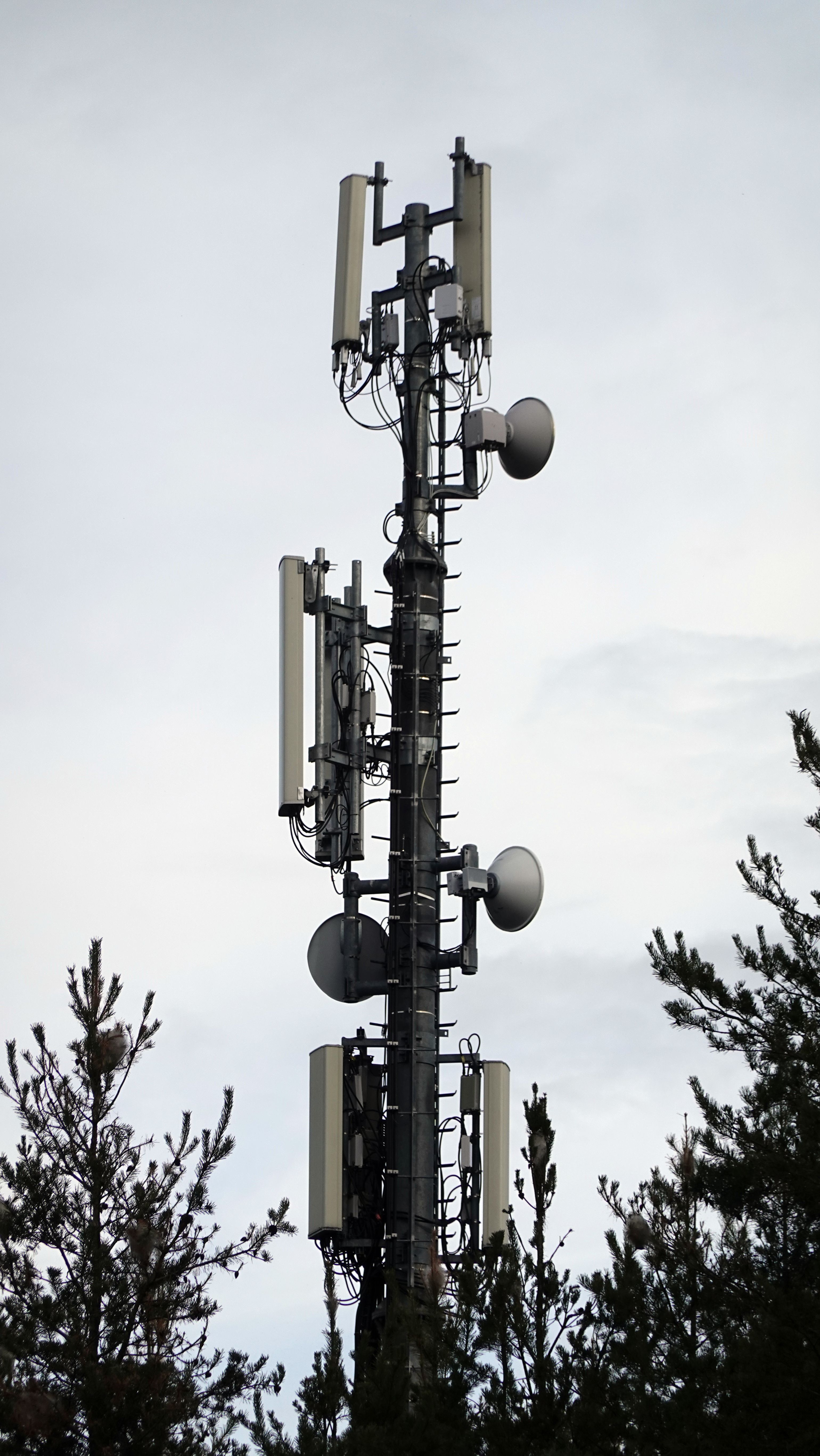 Die Antennen im Dezember 2025