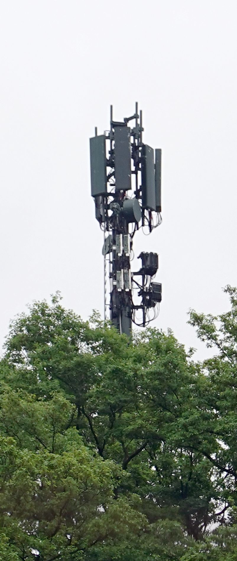 Die Antennen im April 2025