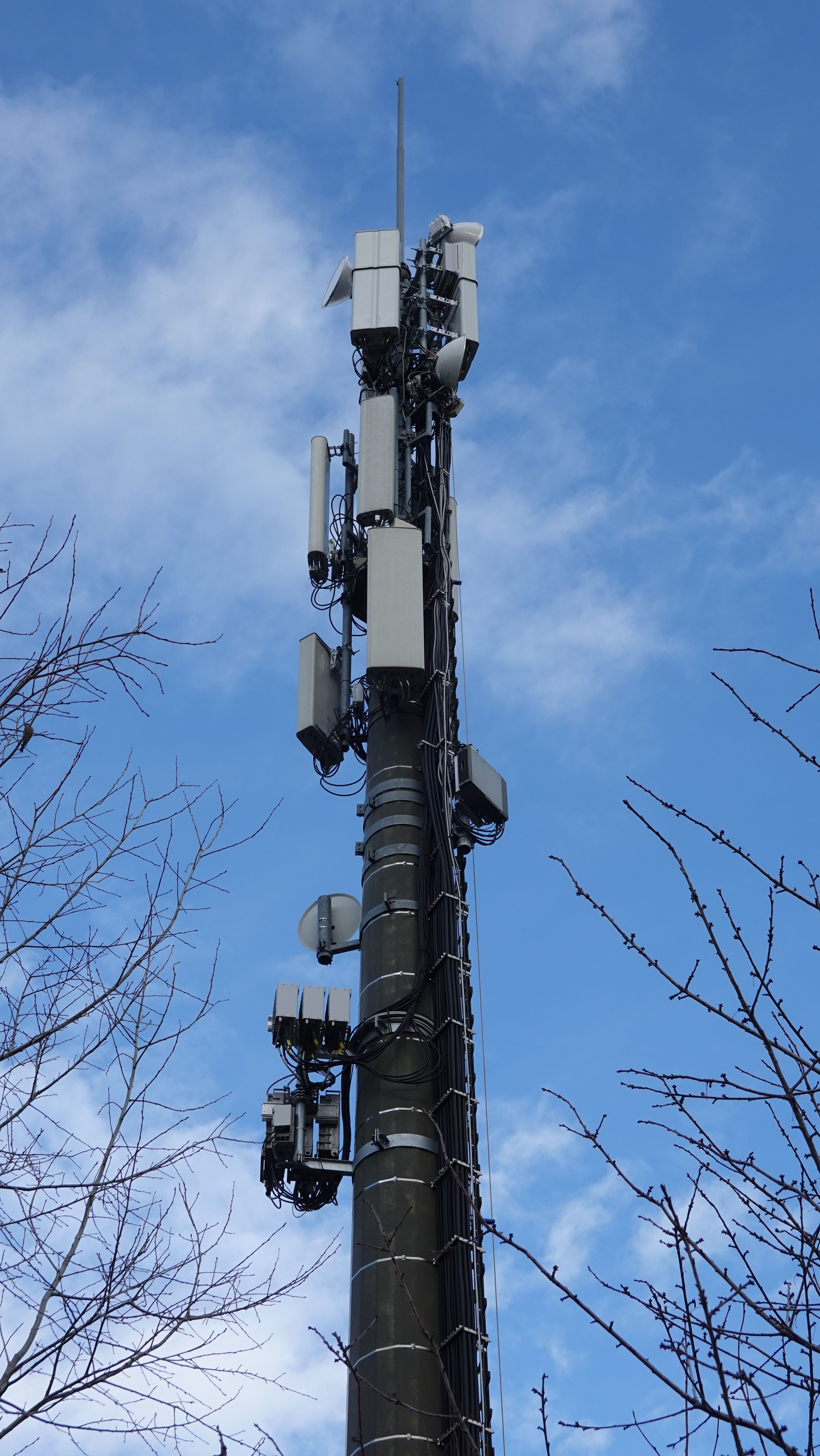 Die Antennen im November 2024