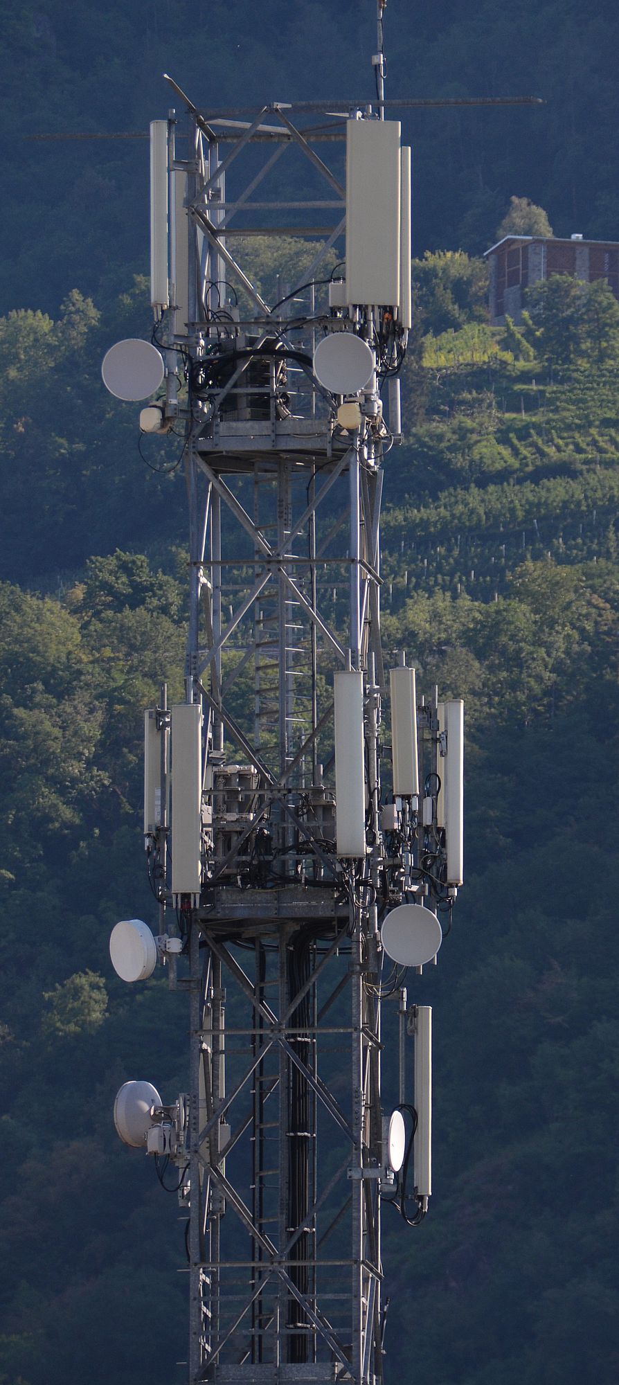Die Anlage im August 2018