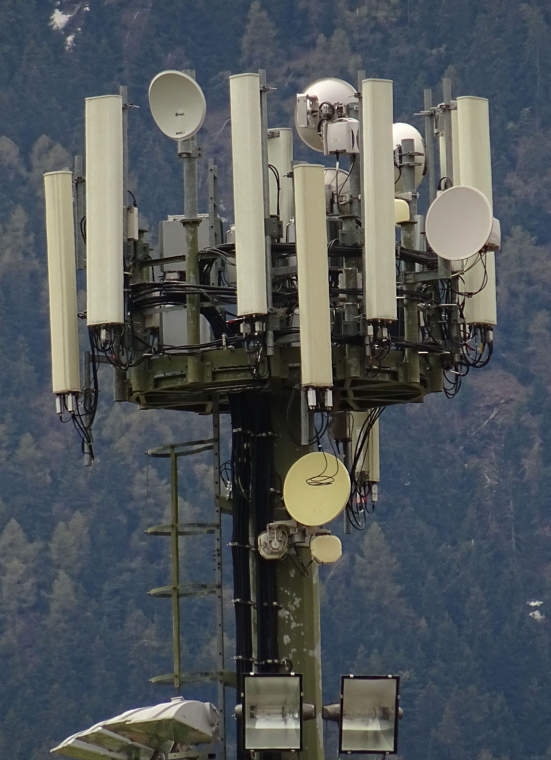 Die Antennen im Mai 2021. Foto Daniel Z.