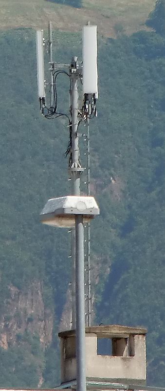 Die Antennen von Tim im Mai 2014
