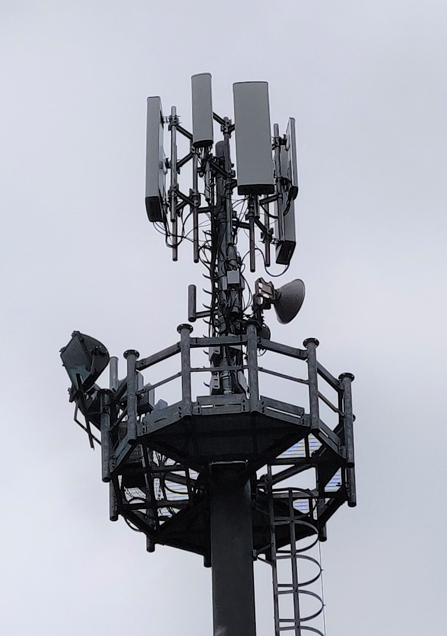 Die neuen Antennen im November 2019. Foto Daniel Zanolli