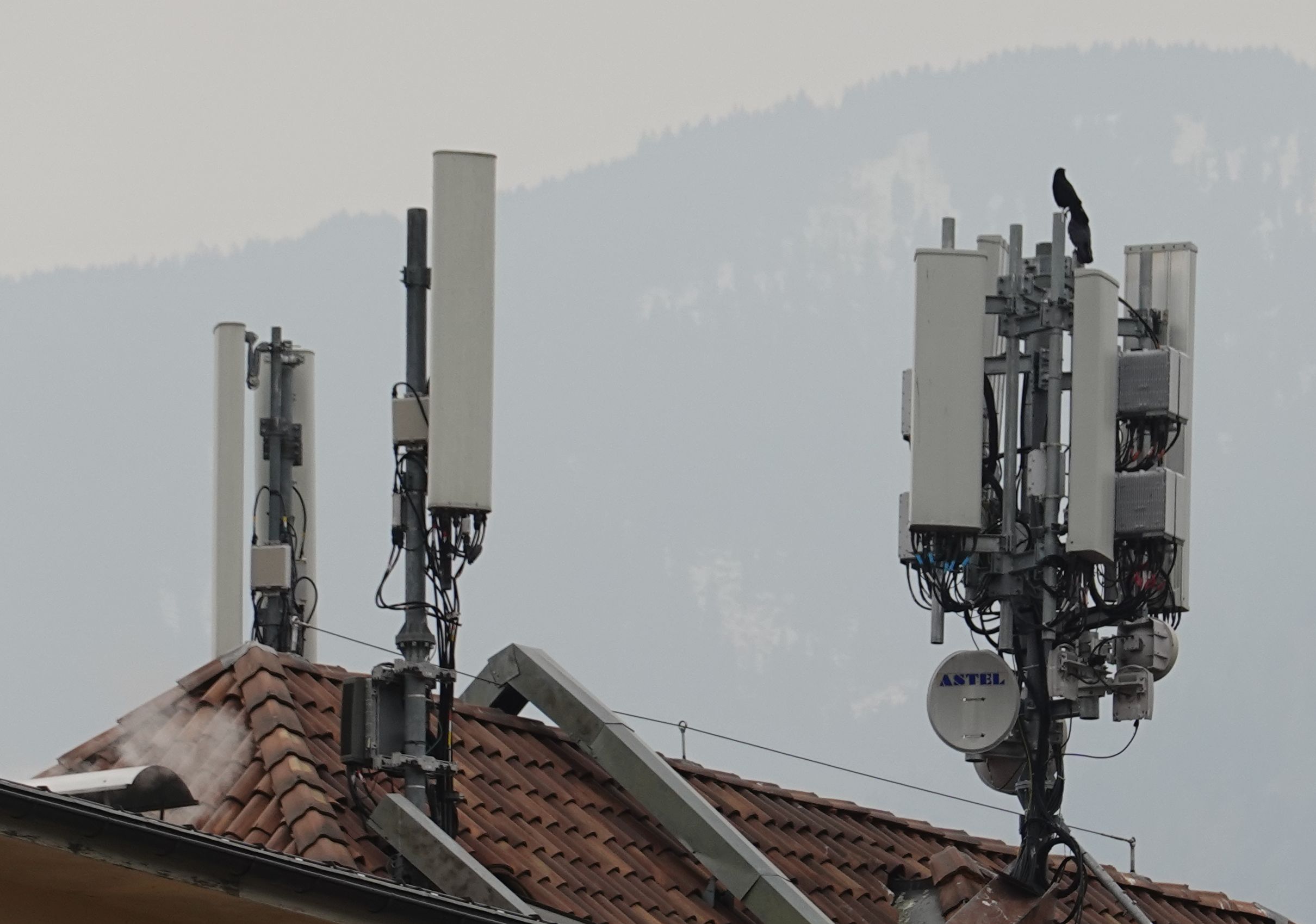 Die Antennen im März 2022