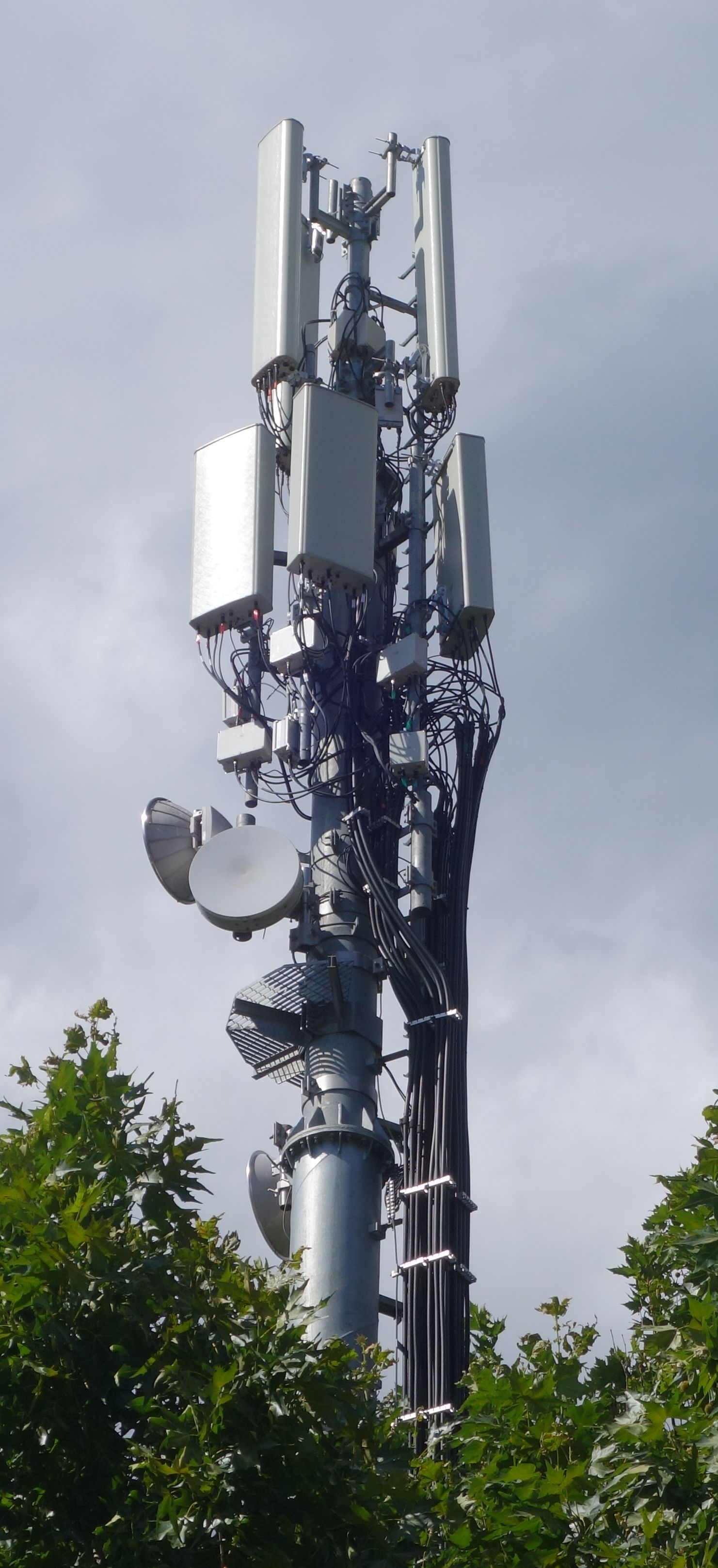 Die Antennen im August 2019