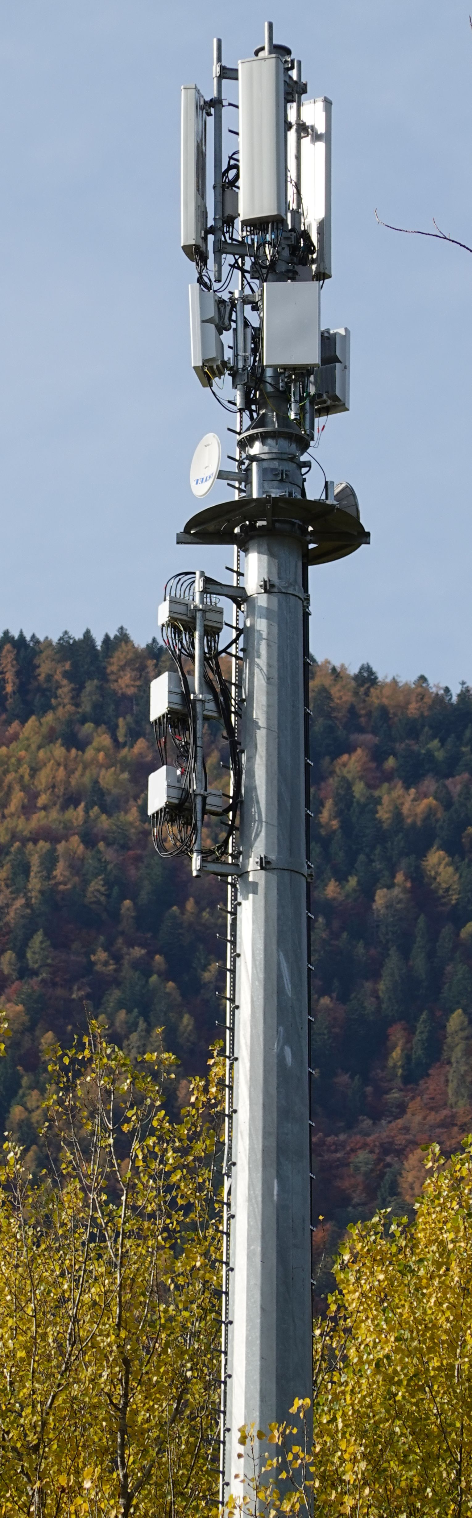 Die Antennen im November 2021