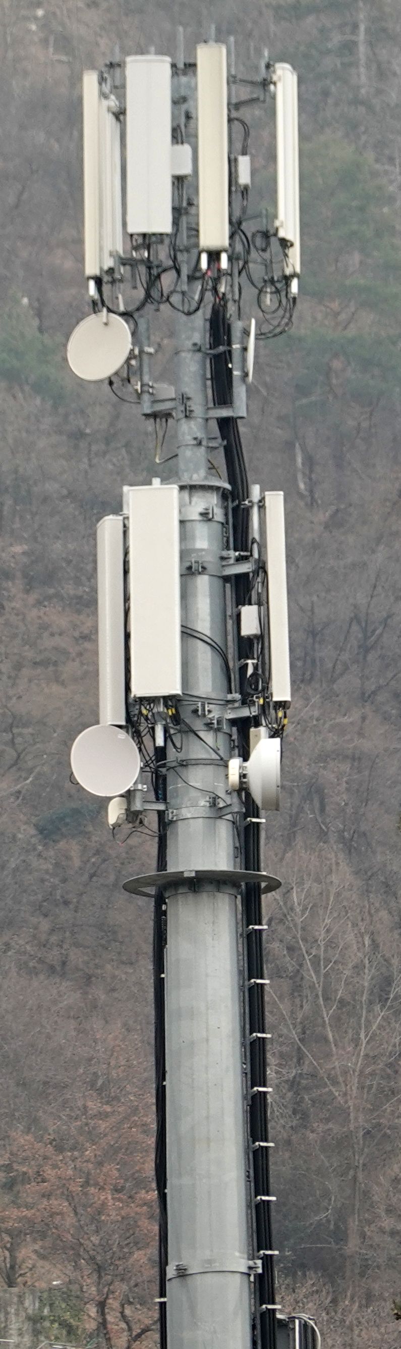 Die Antennen im März 2022