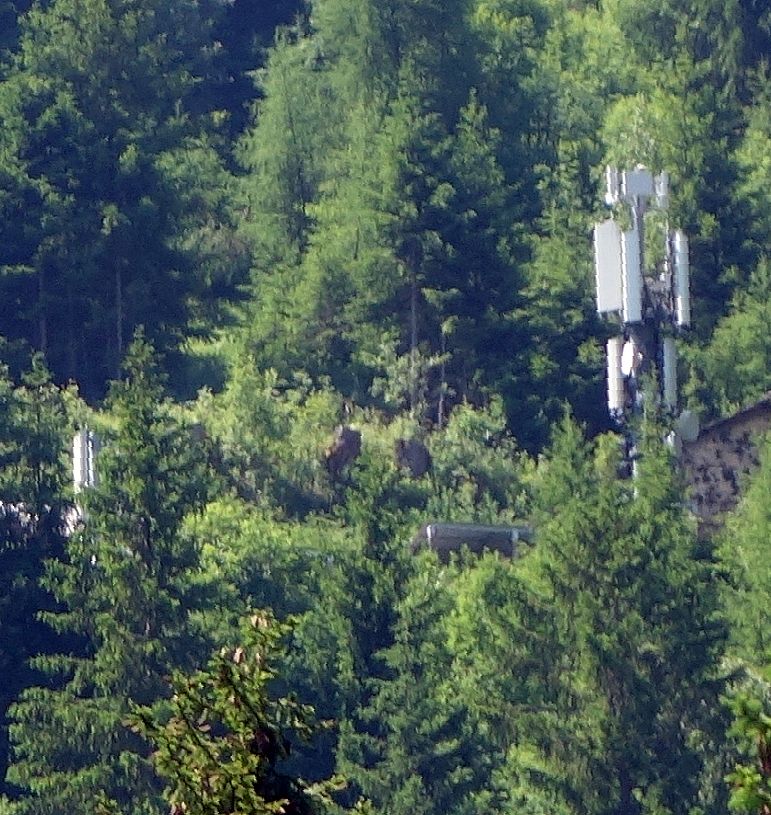 Die Anlagen im Juni 2019