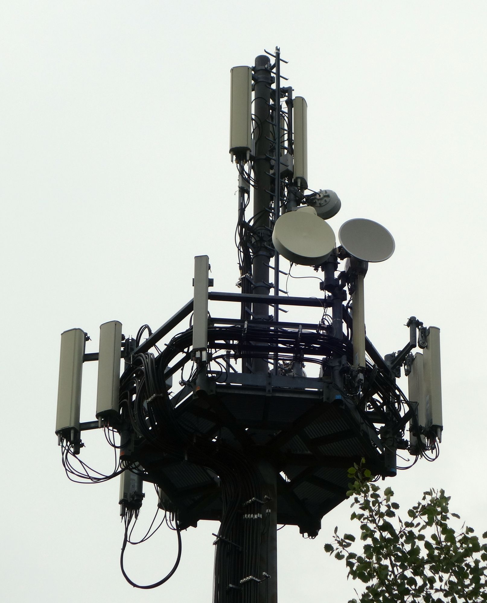 Die Anlage im August 2019