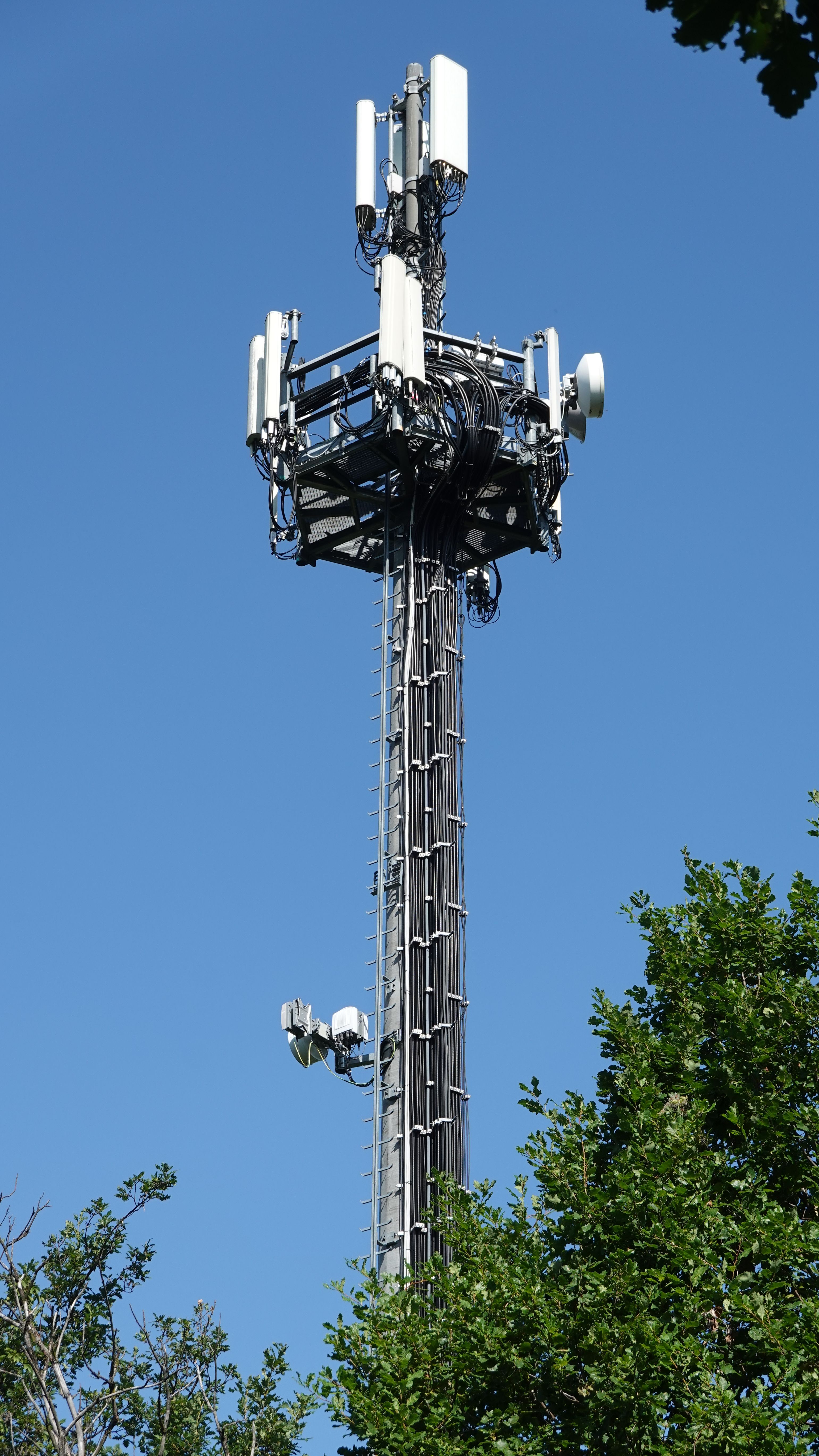 Die Anlage im August 2023