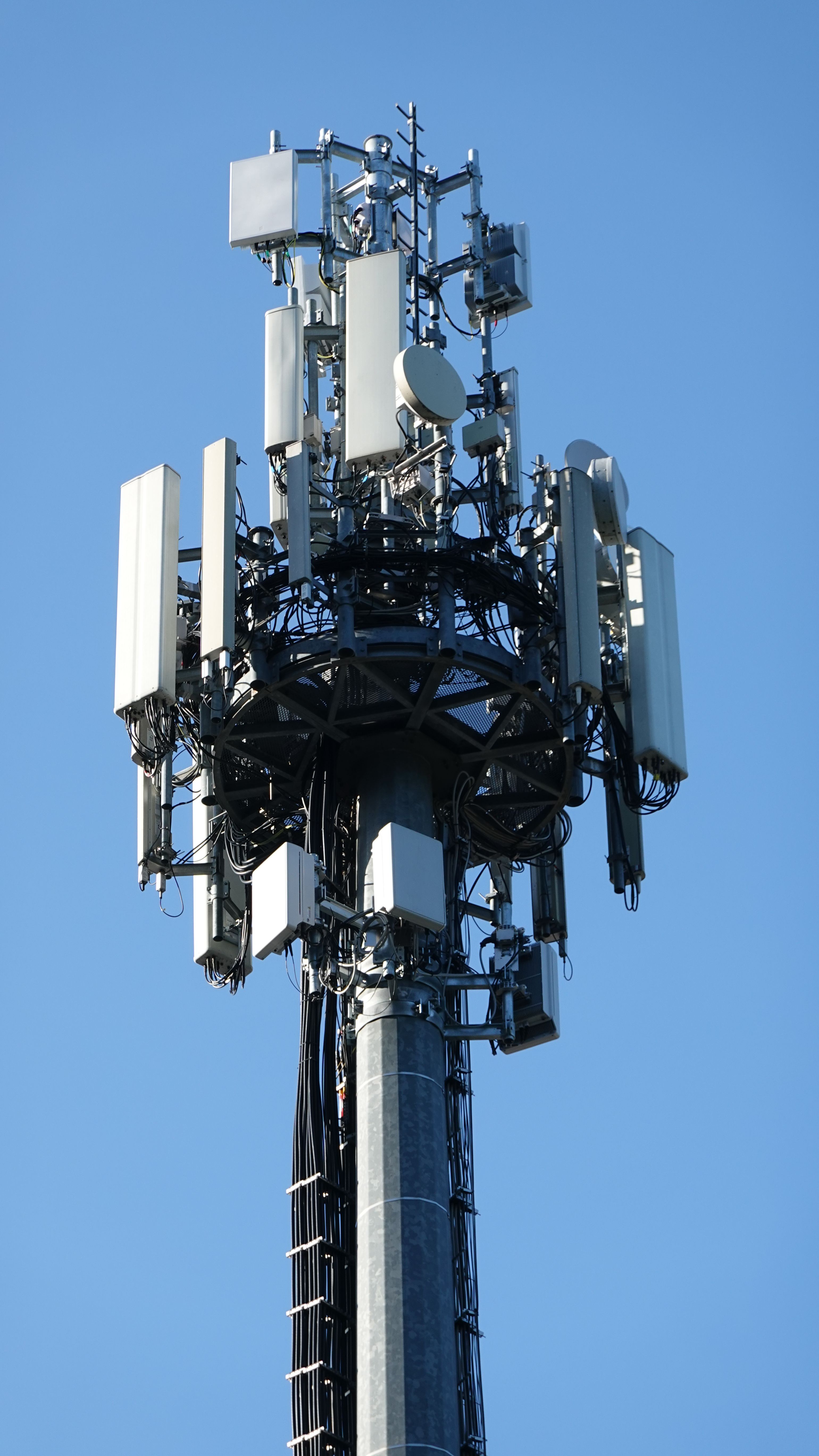 Die Antennen im September 2023