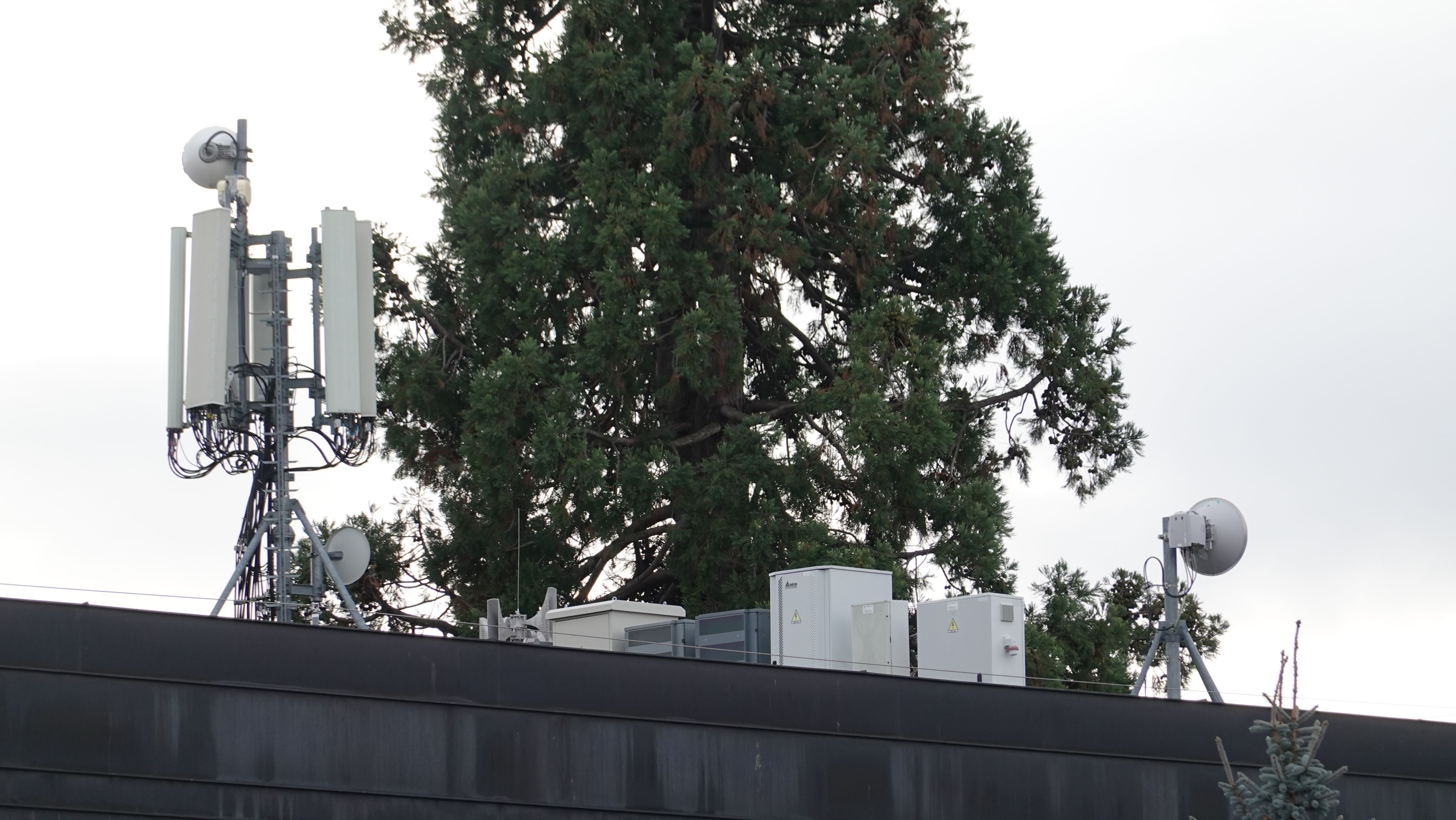 Die Antennen im November 2024