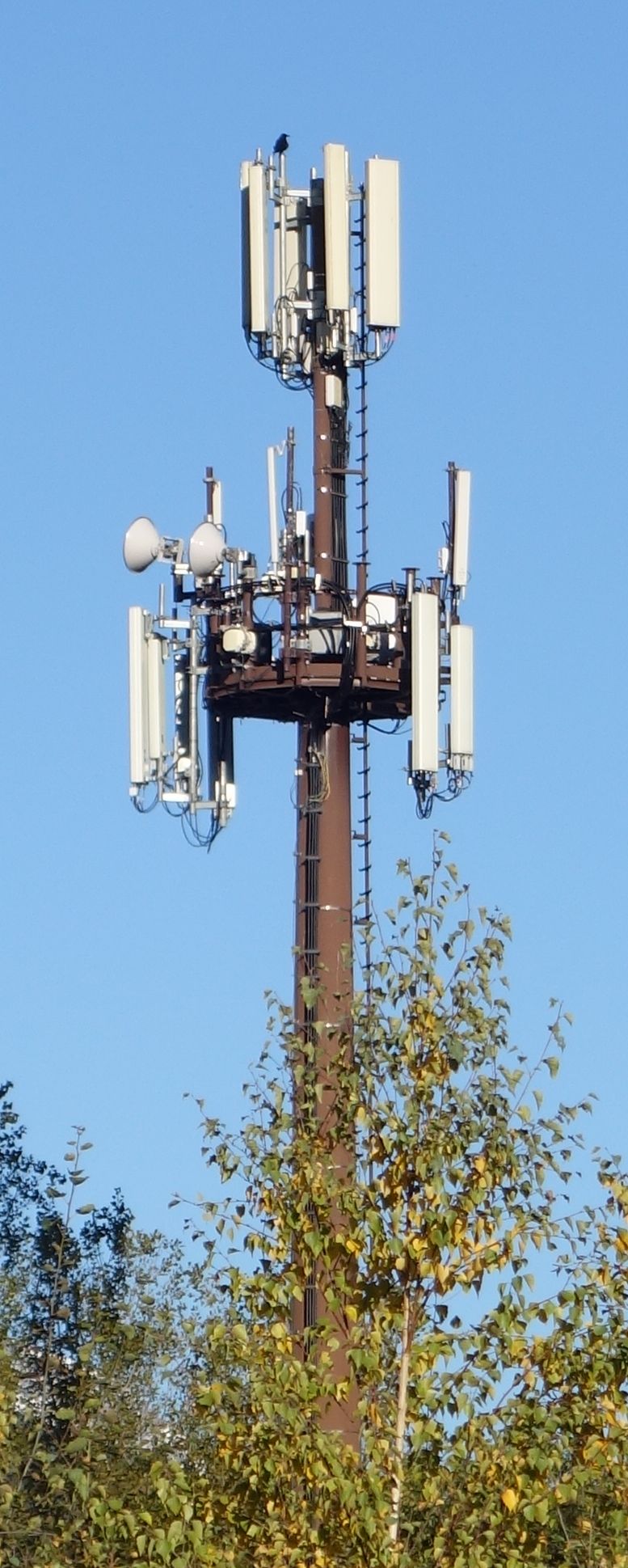 Die Anlage im Oktober 2019