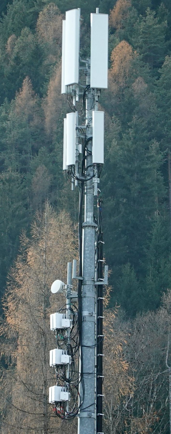 Die Antennen im Dezember 2020
