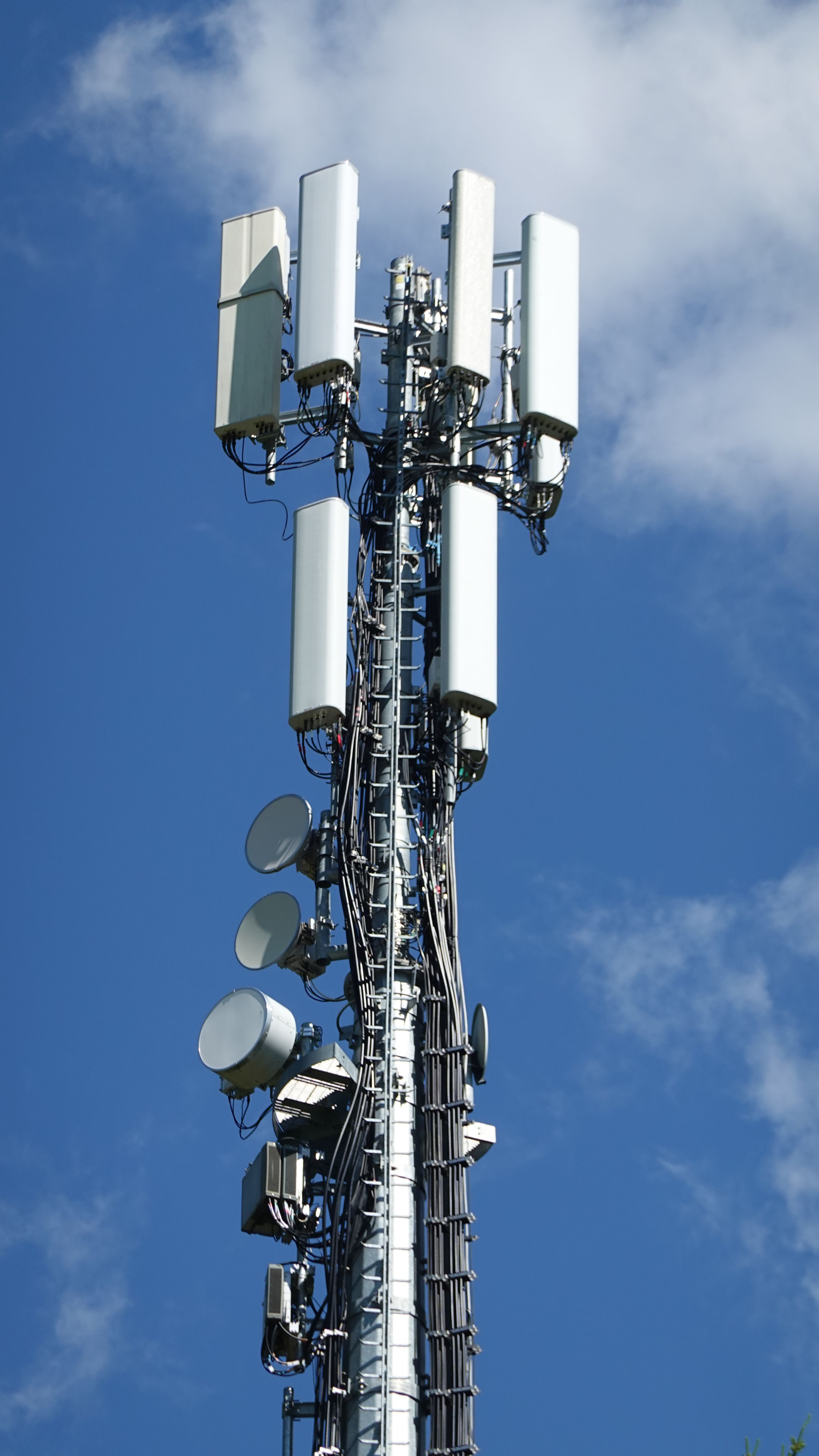 Die Antennen im Juli 2026