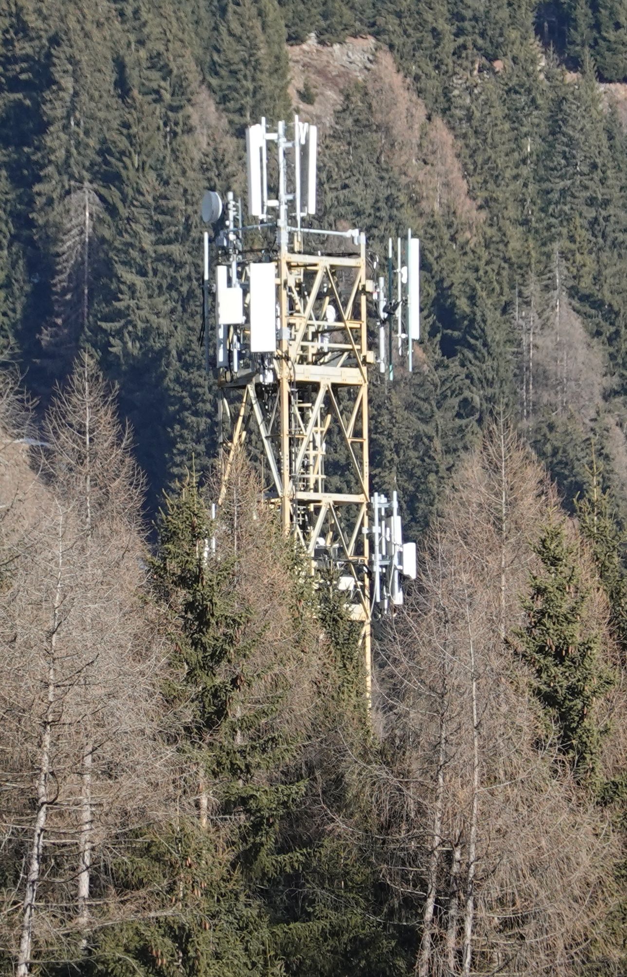 Die Anlage im Jänner 2026