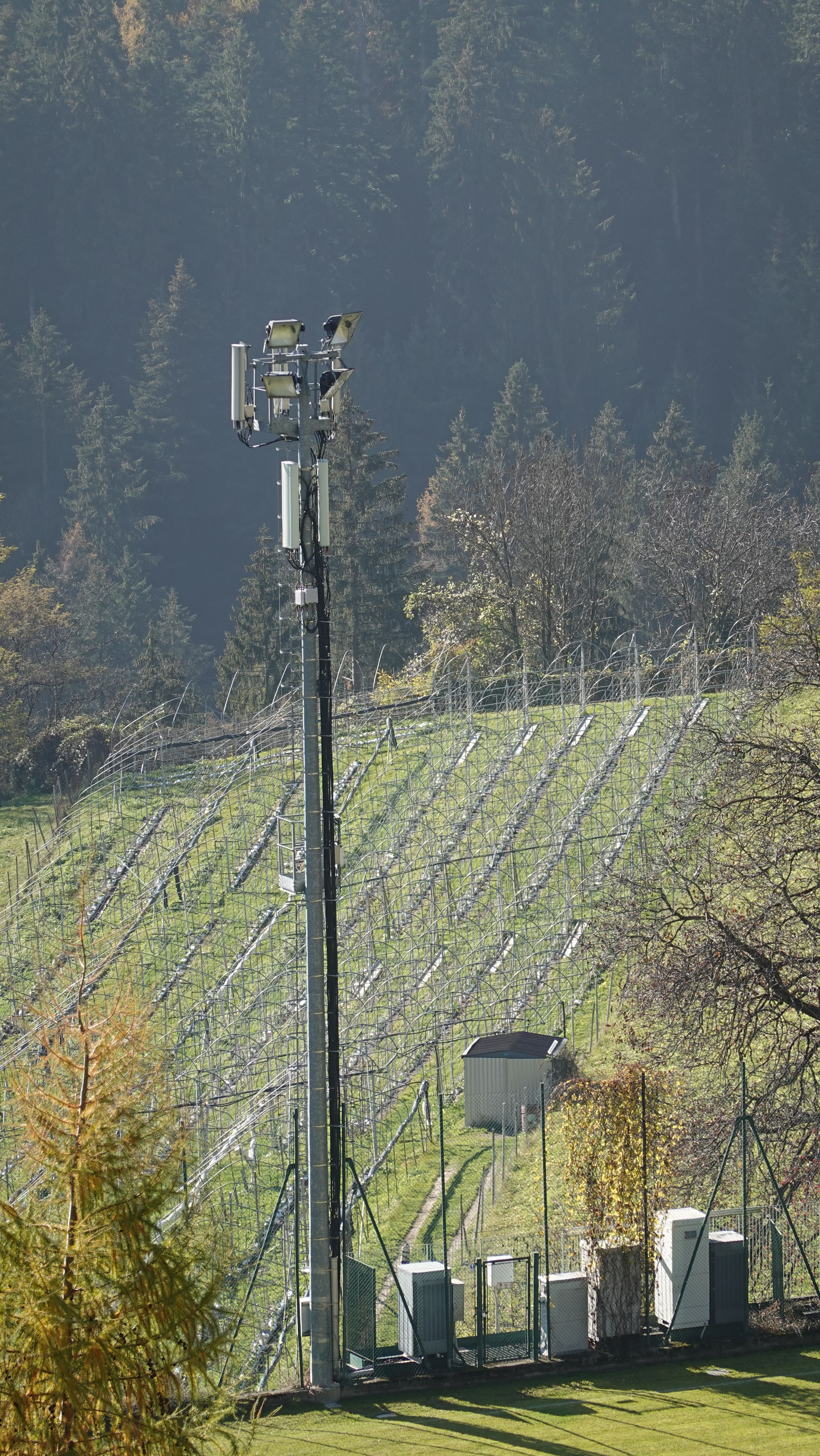 Die Antennen von Tim und Vodafone im November 2020
