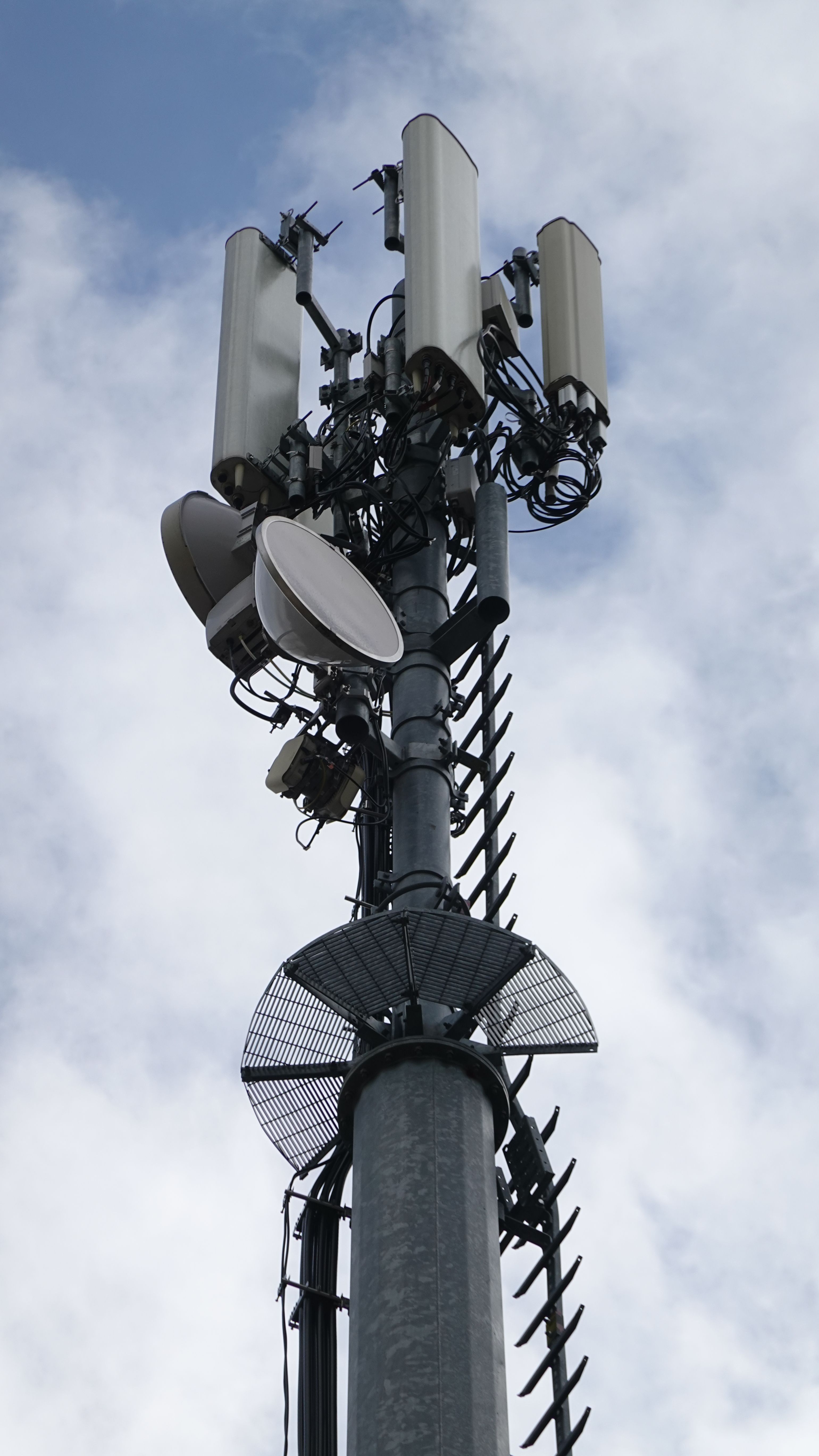 Die Antennen im März 2025