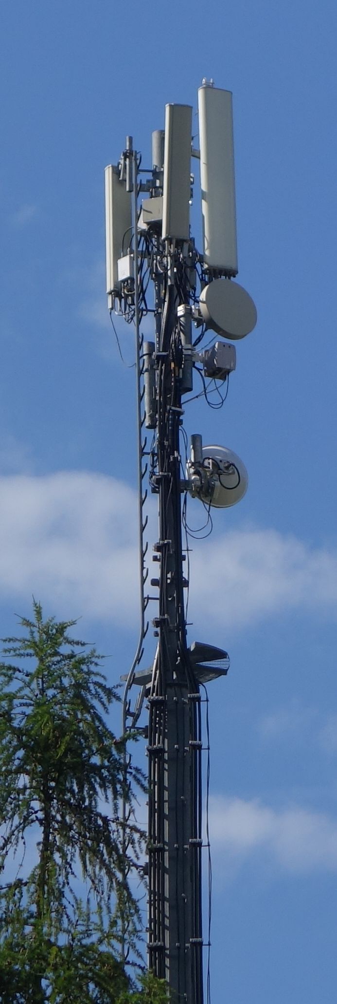 Die Antennen im Juni 2019